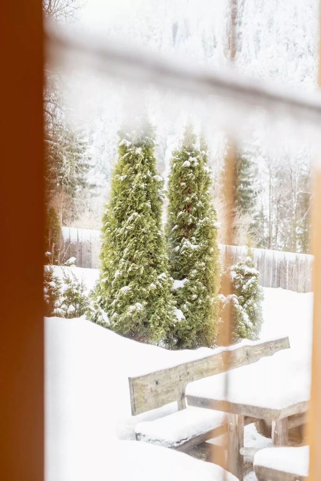 Mit Bergblick-Buiten