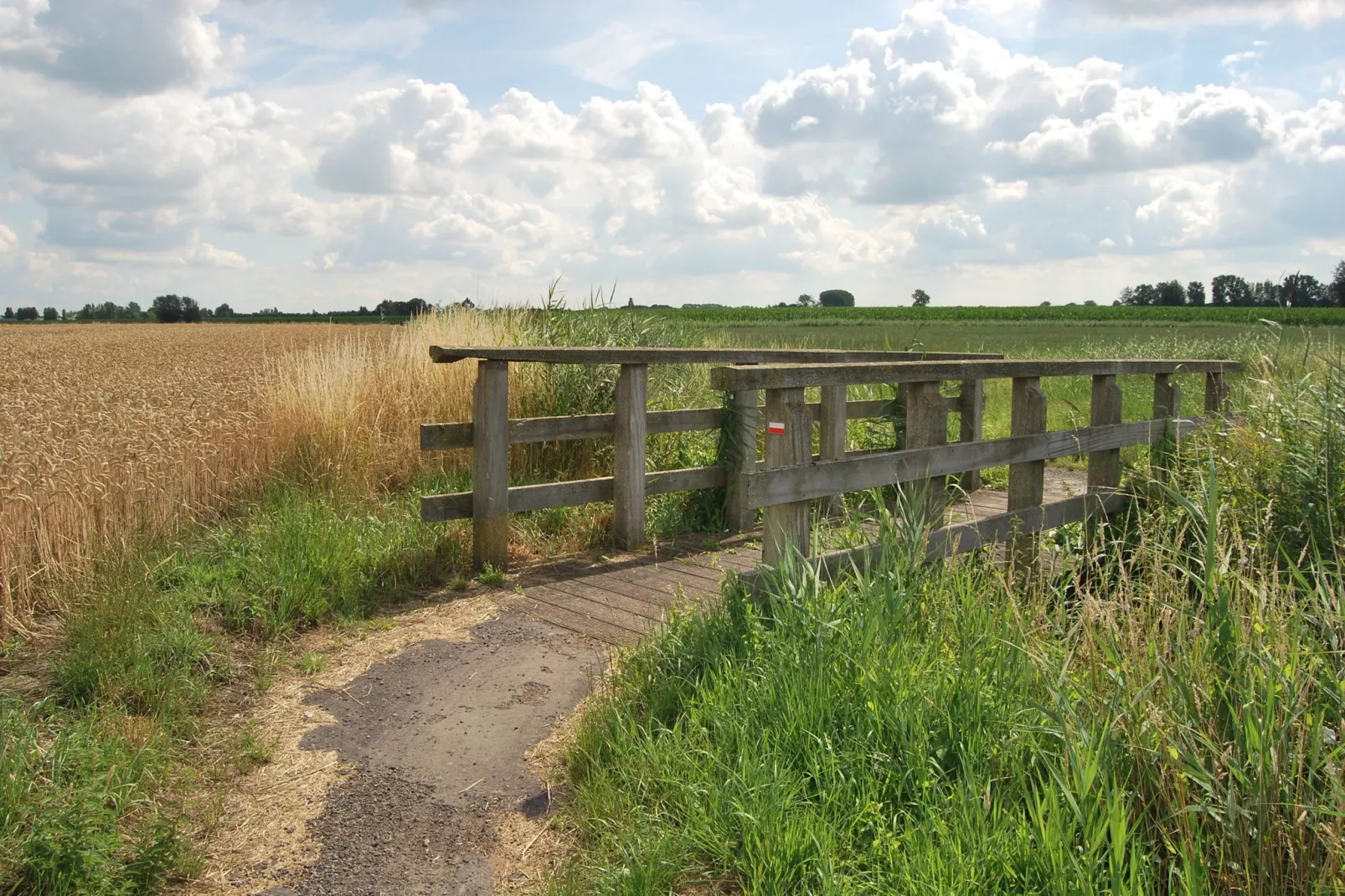 De Zonnebrug-Gebieden zomer 5km