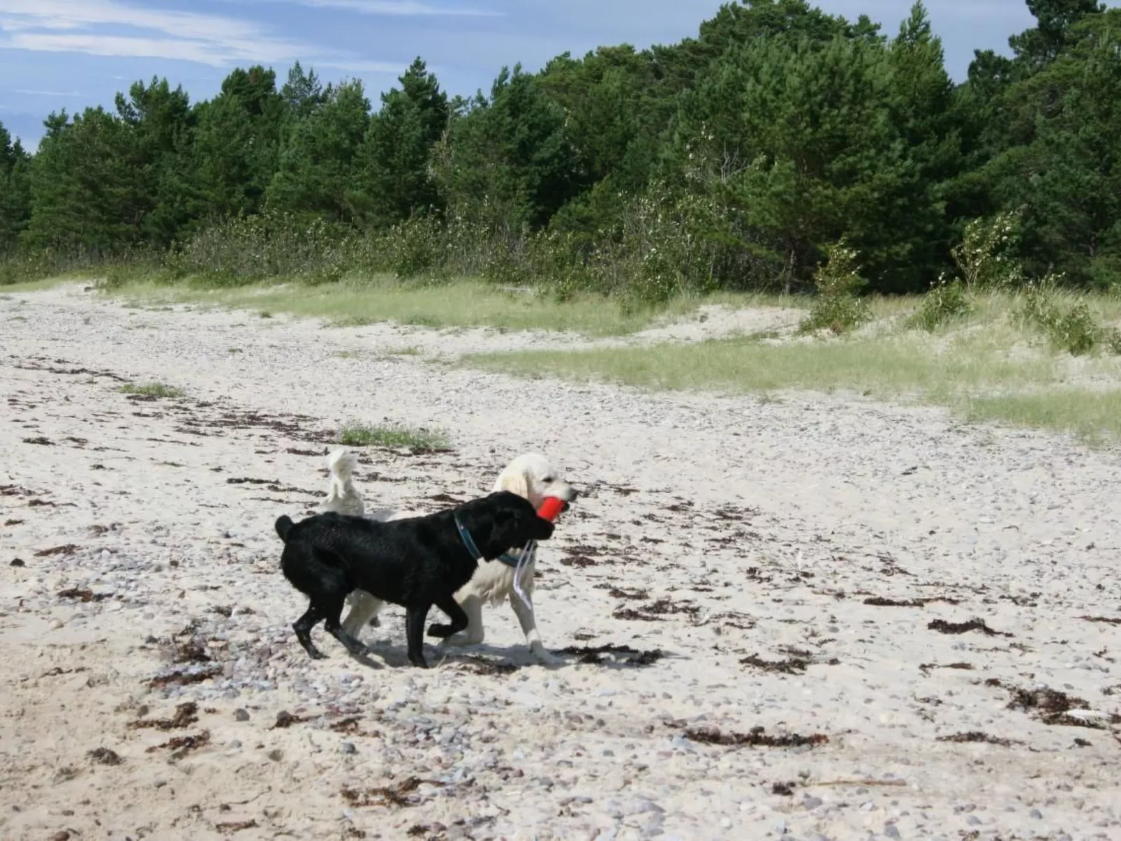 Niedliches Schwedenhaus.-Buiten