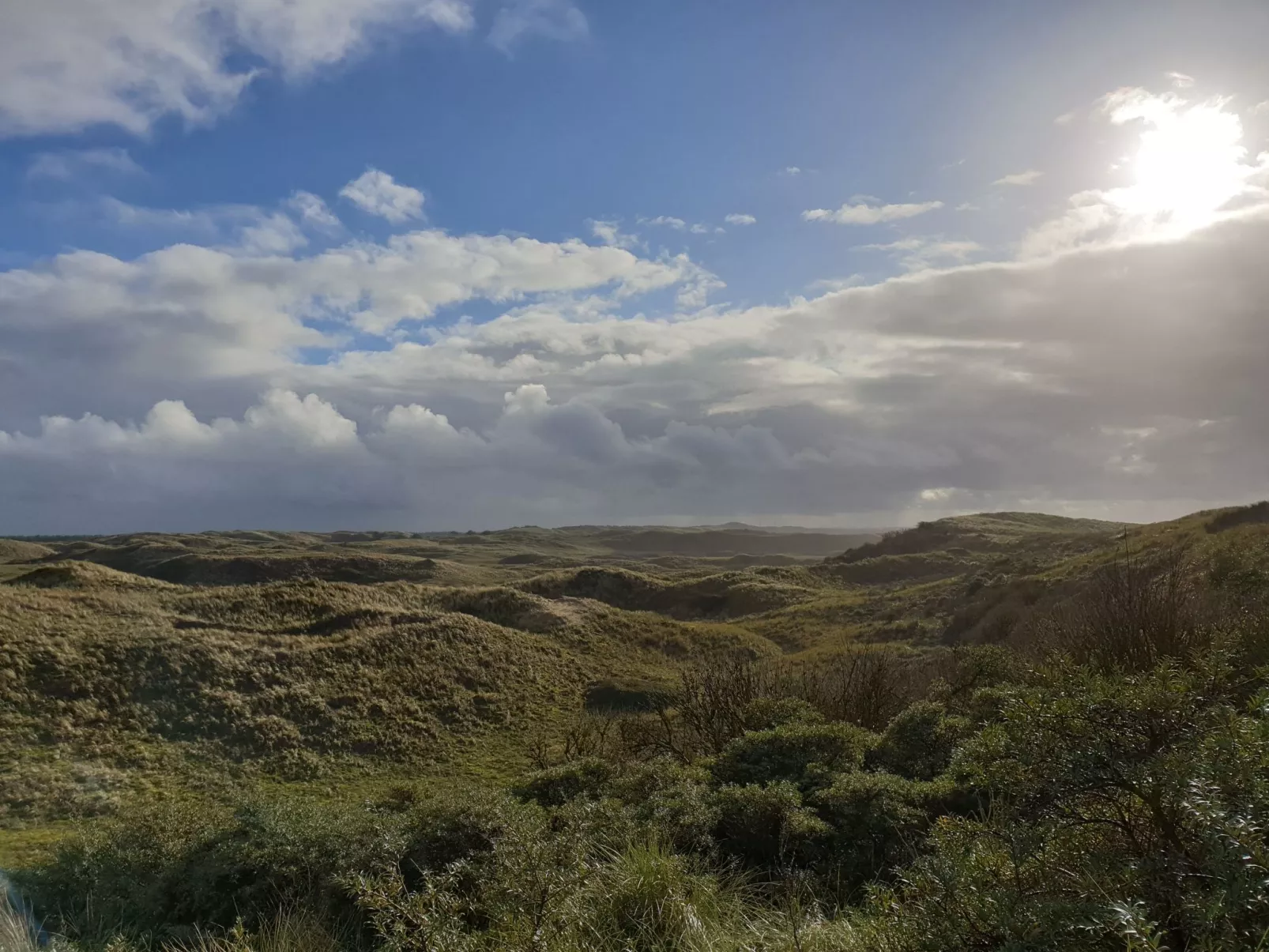 Sommerhaus in ruhiger Lage mit privatem Garten und Terrasse-Buiten