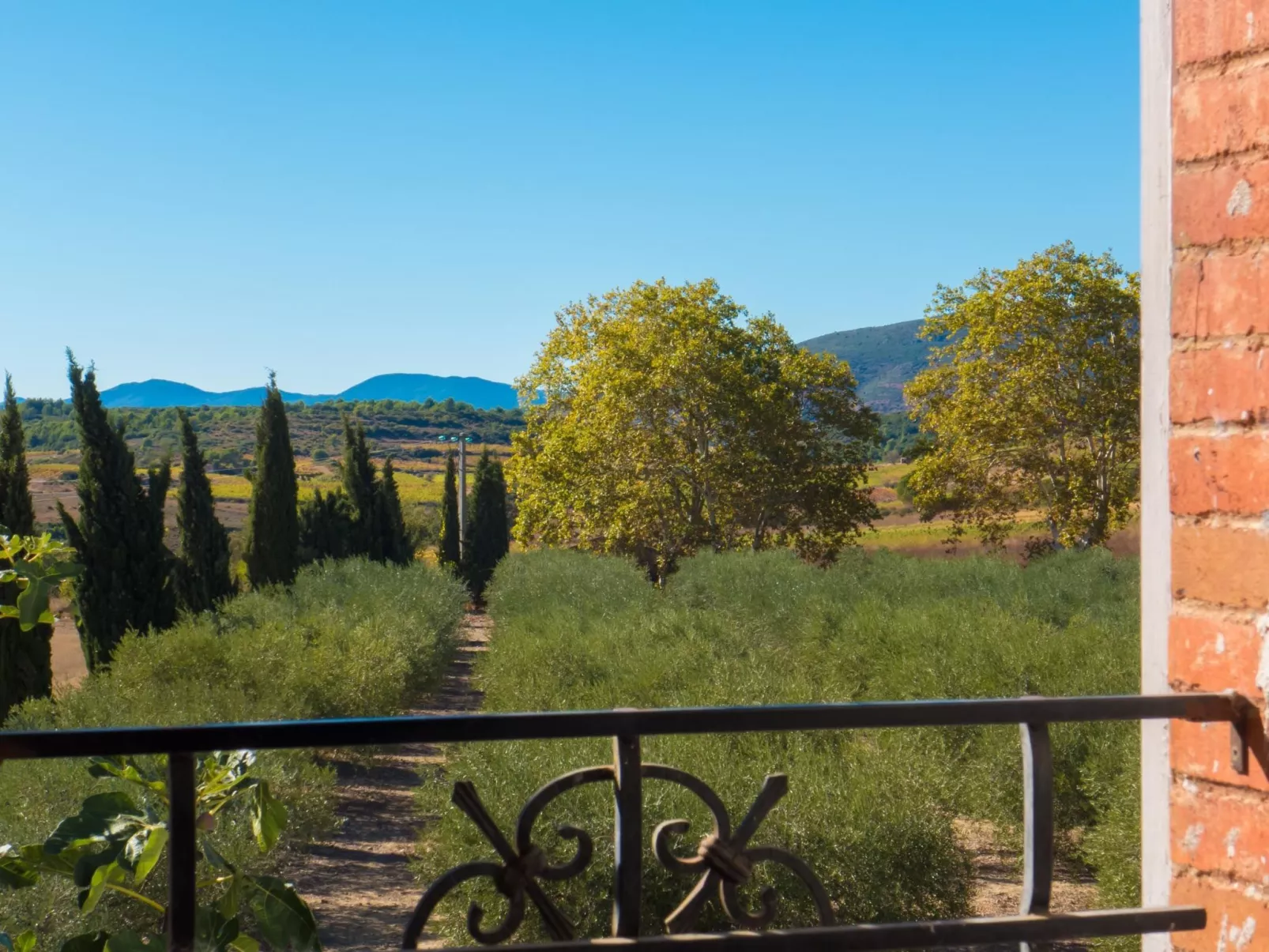 In Murviel-les-Béziers,-Buiten