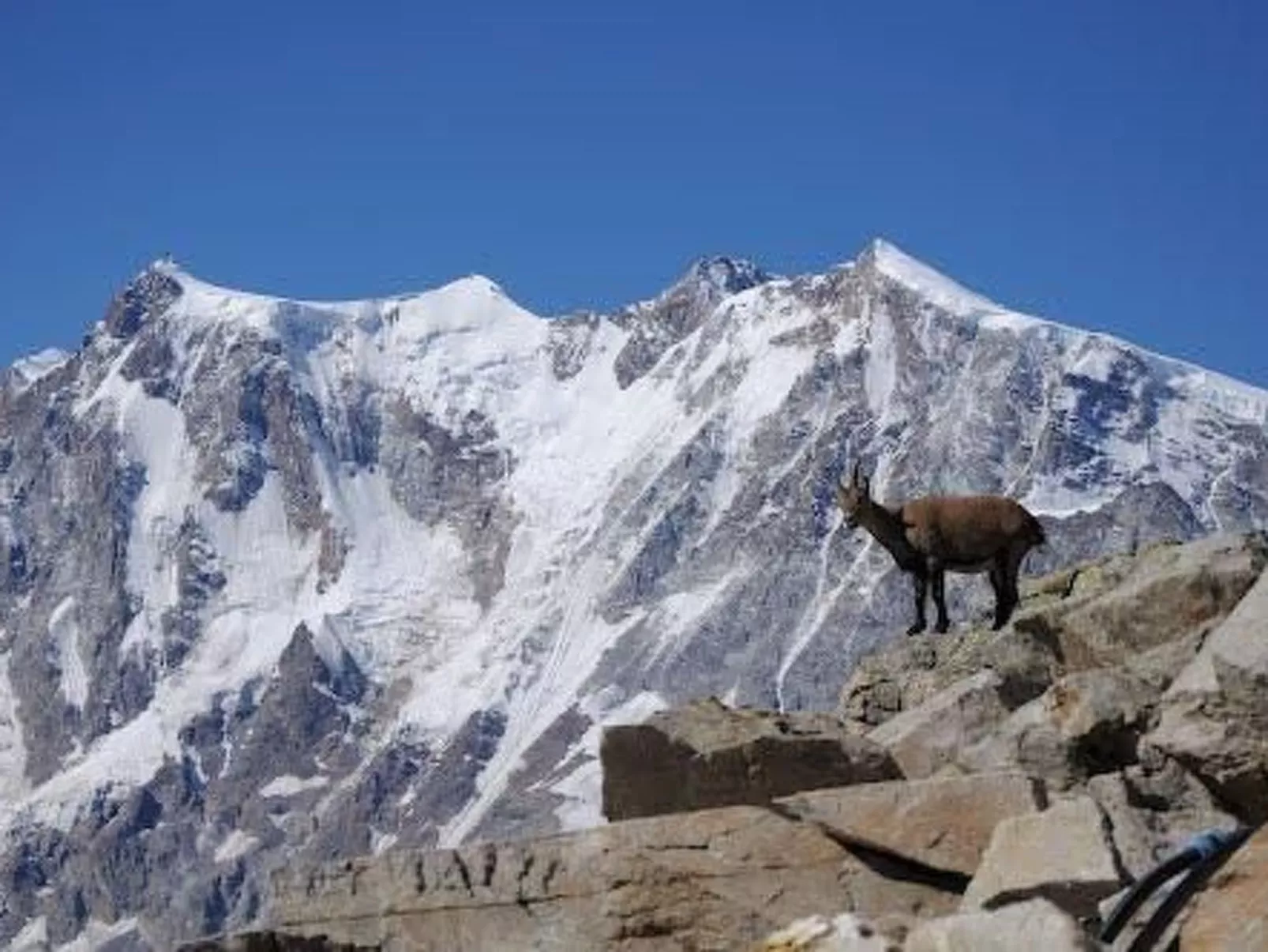 Haus Mondelli-Image-tags.info