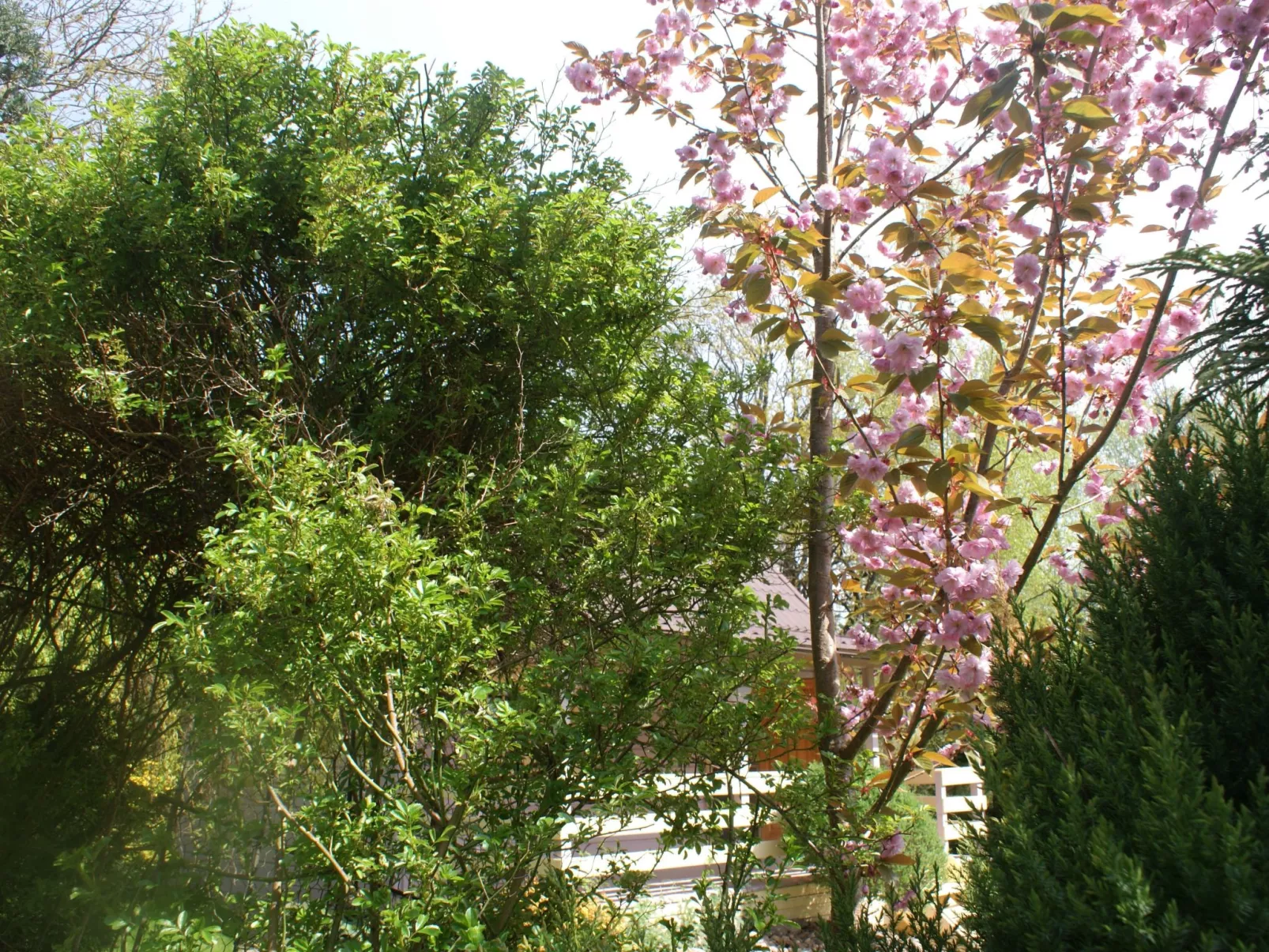 Ruhe am Meer - Ferienhäuser in den Gärten von Magra-Buiten