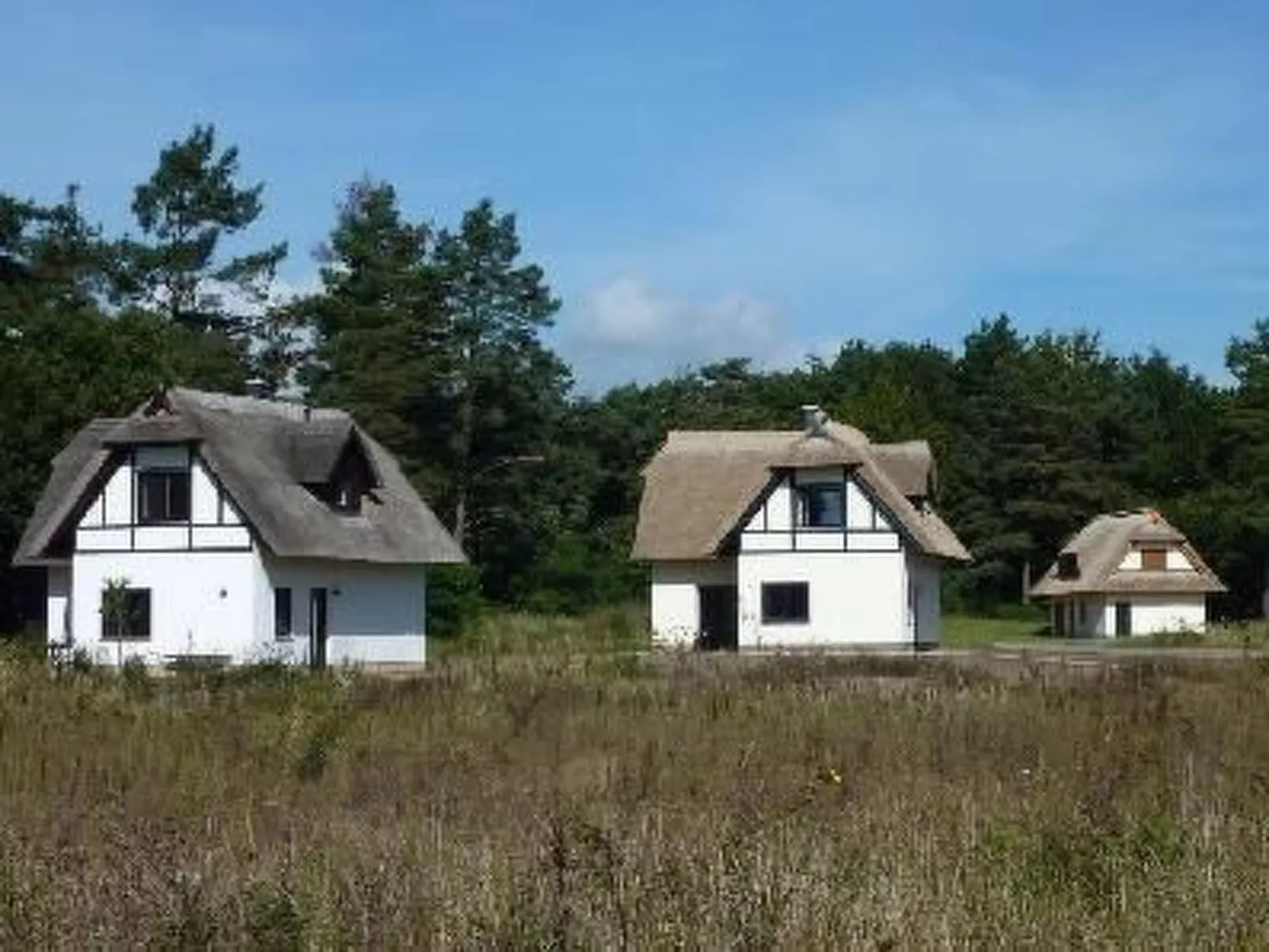 Am Haff-Image-tags.info