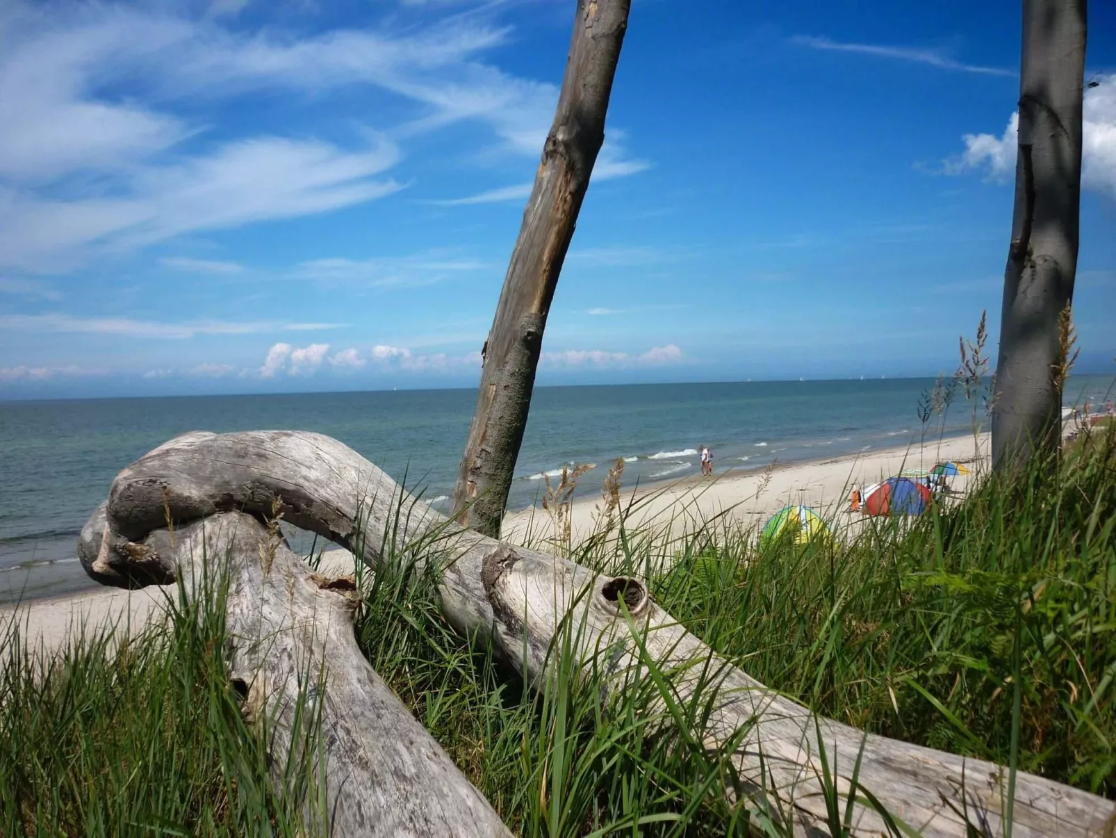Komfort Ferienhaus mit Sauna und Kamin, auf großem Waldgrundstück, in absoluter-Buiten