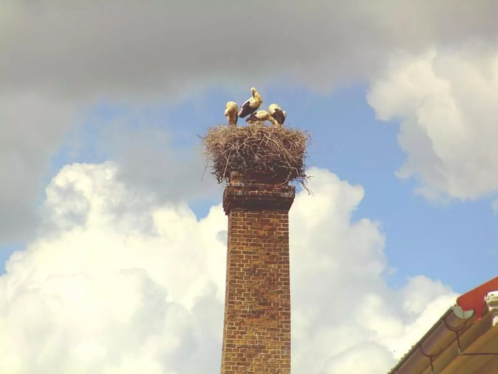 Appartement in Meiersberg mit Grill-Image-tags.info