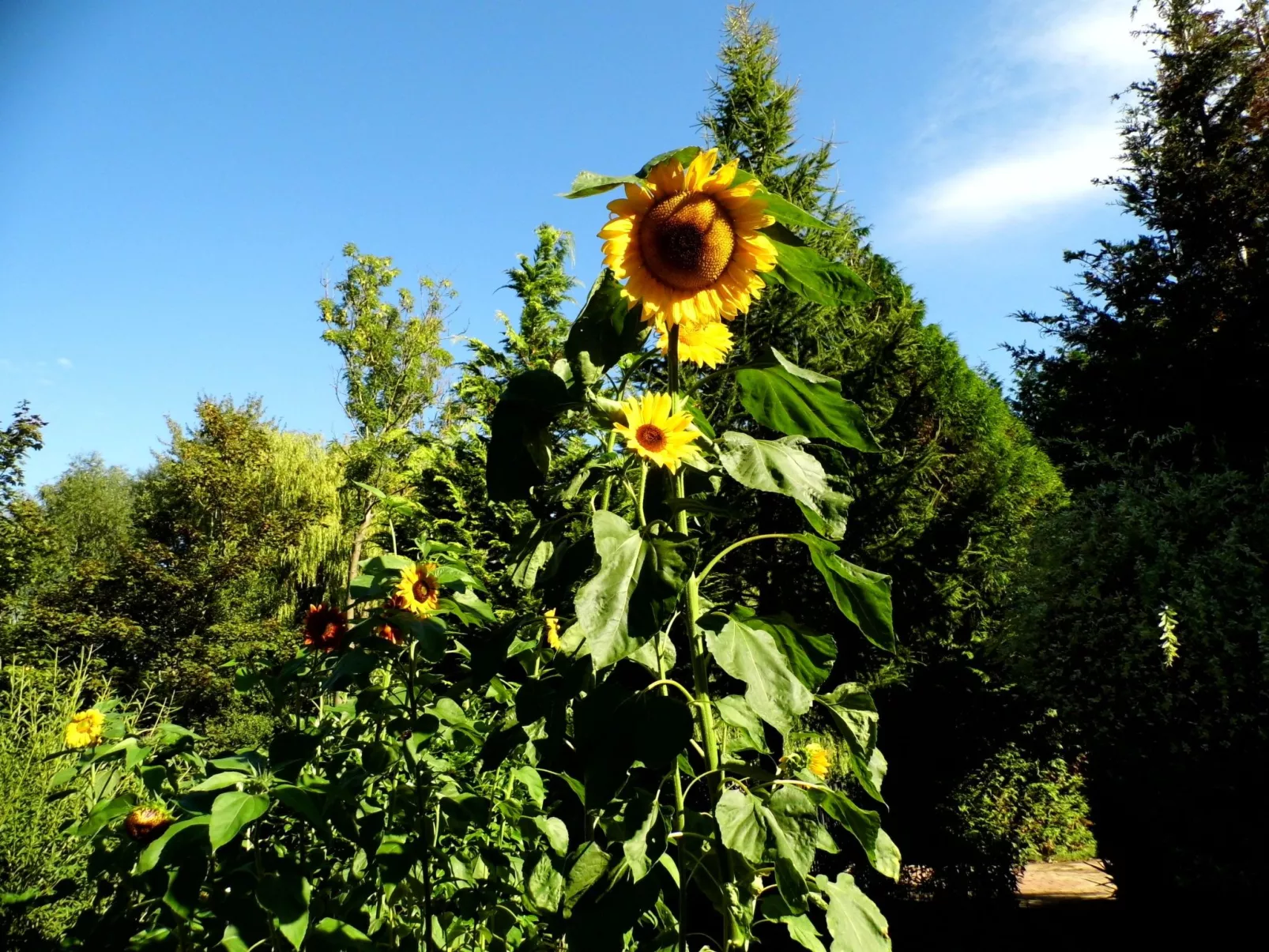 Am malerischen Nepperminer See-Buiten