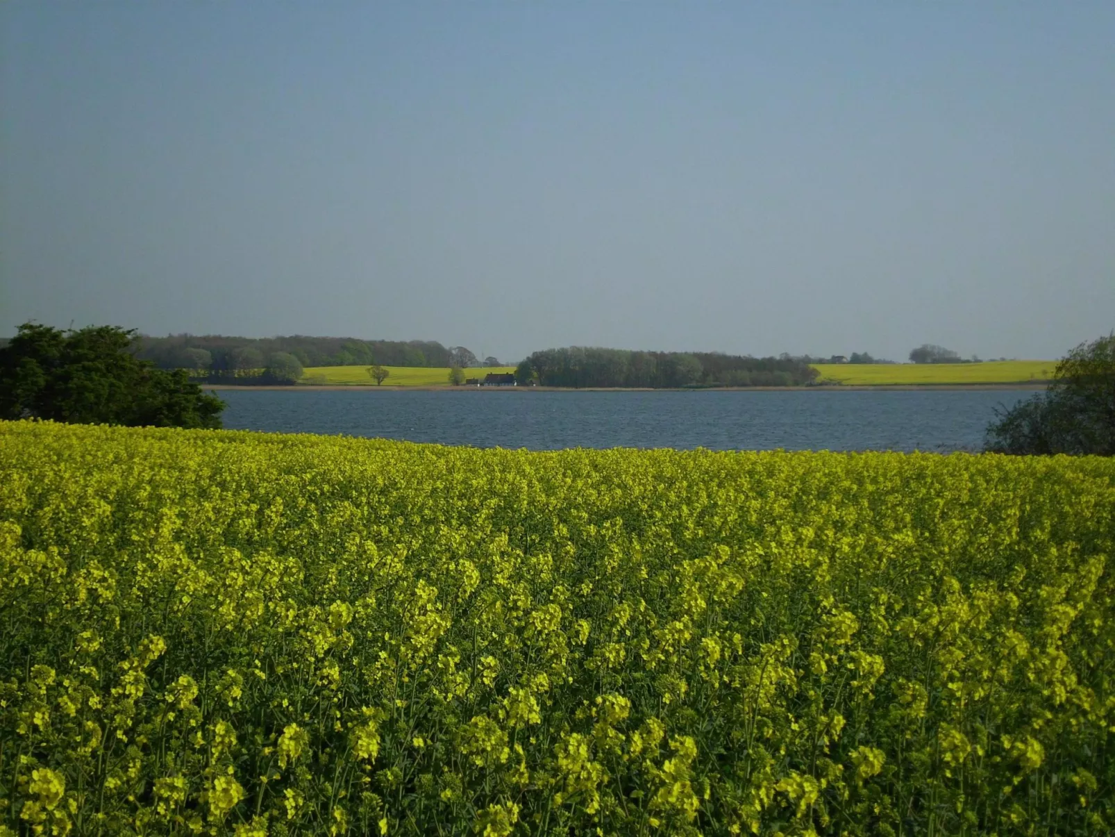 In Kappeln mit Großem Balkon-Buiten