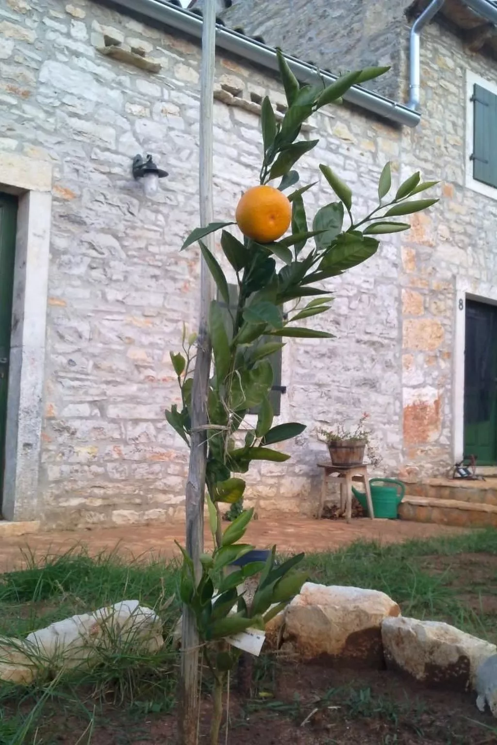 In Bratulići mit Privatem Pool-Buiten