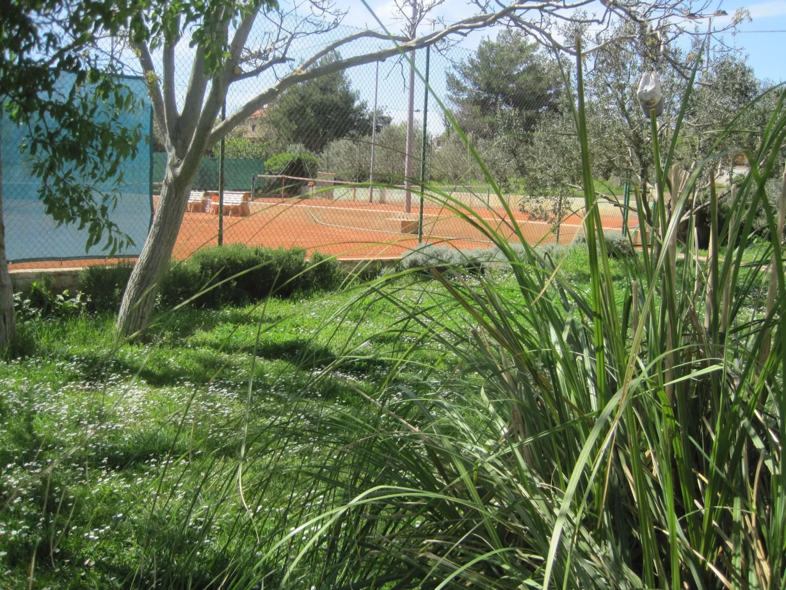 Ferienwohnung-Buiten