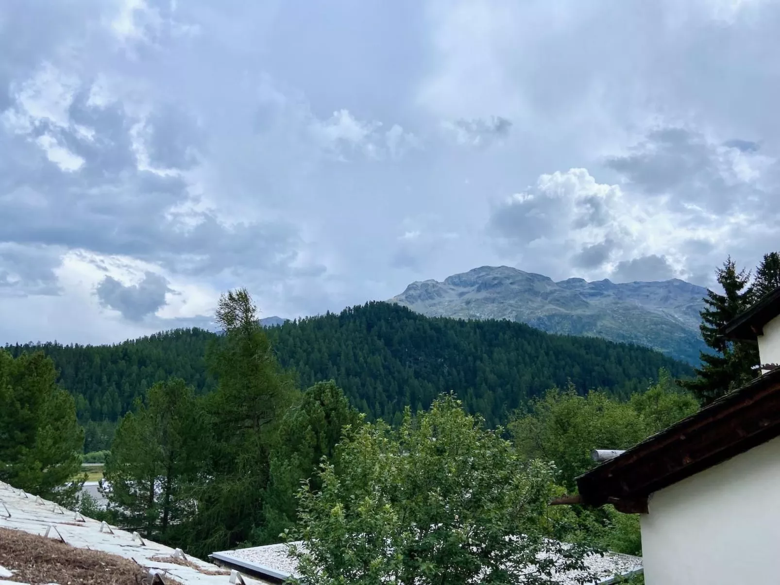 The Green Hut-Buiten