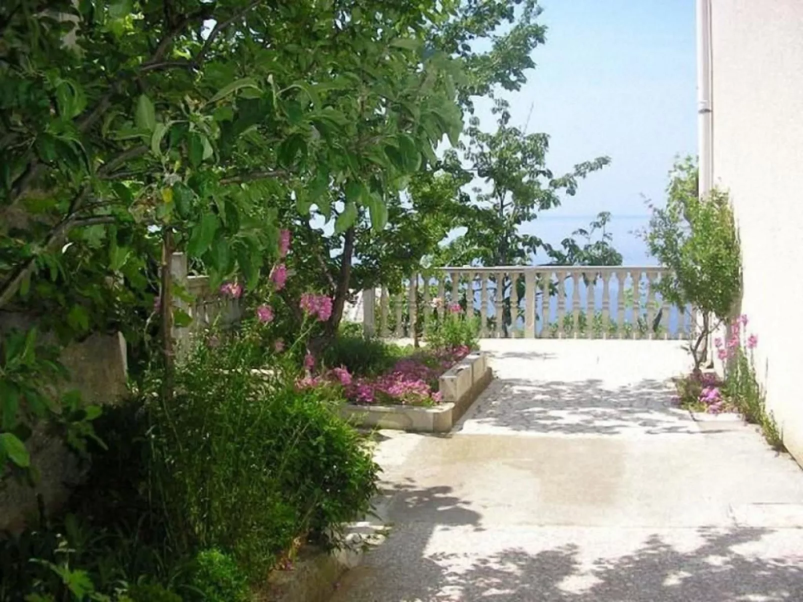 Ivan-Image-tags.info