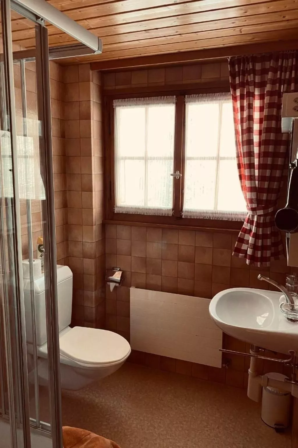 Chalet Bacchus (EG)-Binnen