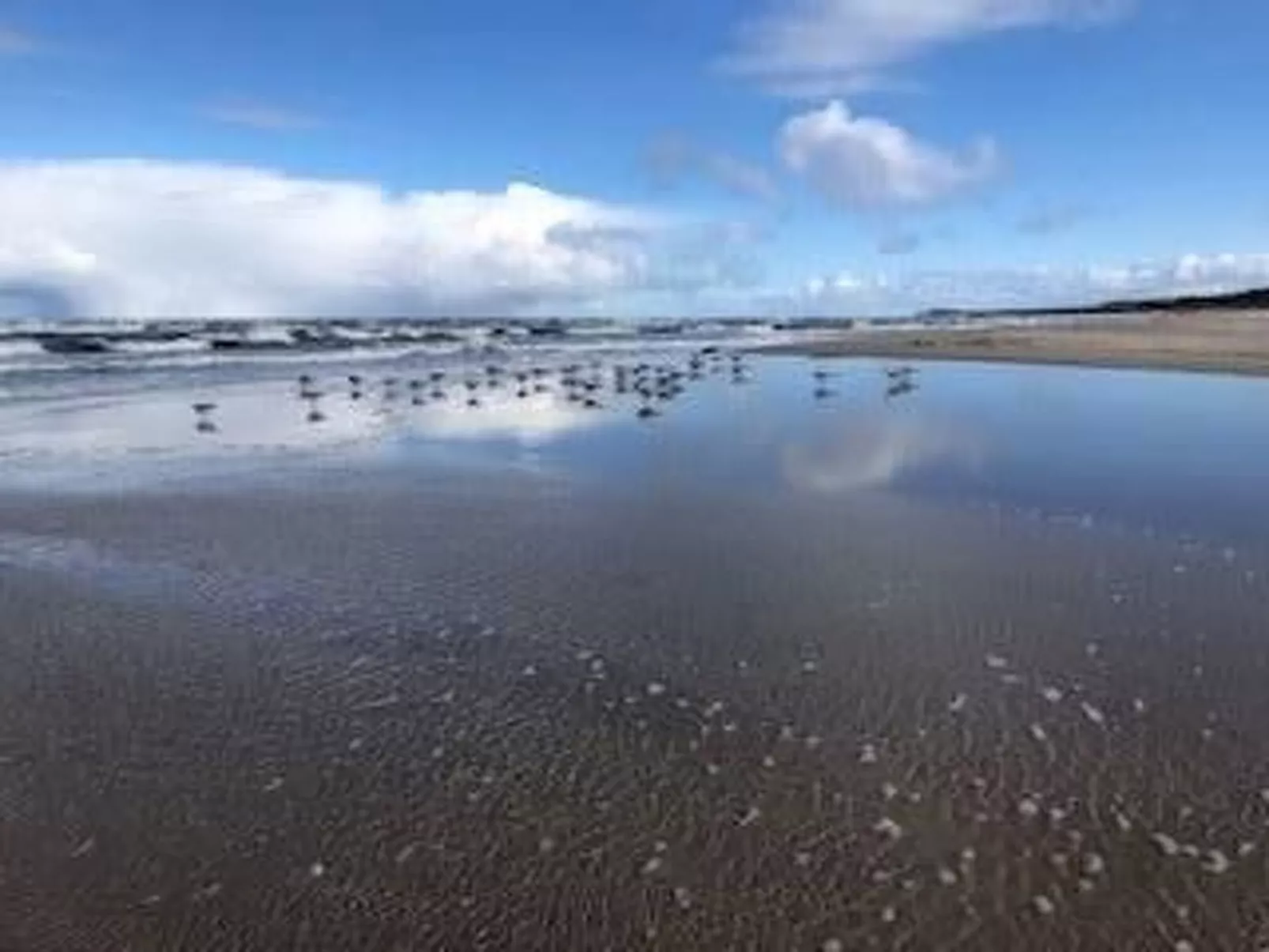 Fast direkt am Strand-Image-tags.info