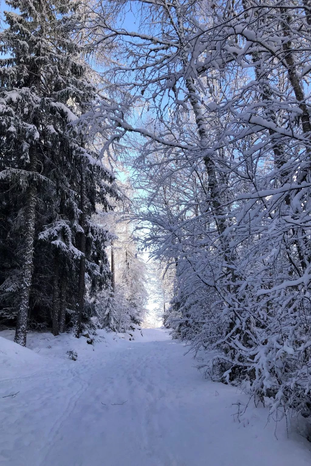 Chalet Veilchen-Buiten