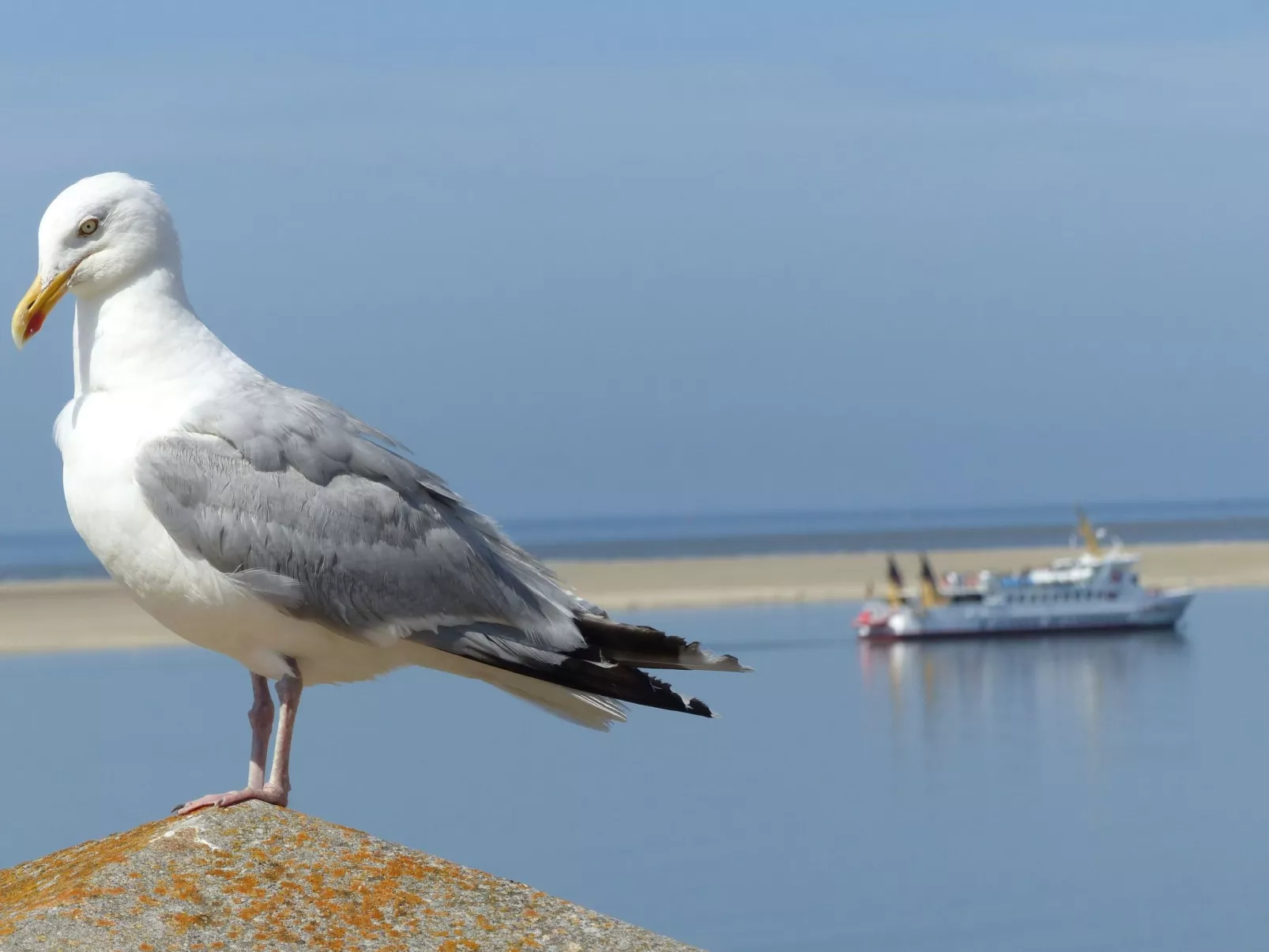 Appartement mit eigenem Parkplatz-Image-tags.info