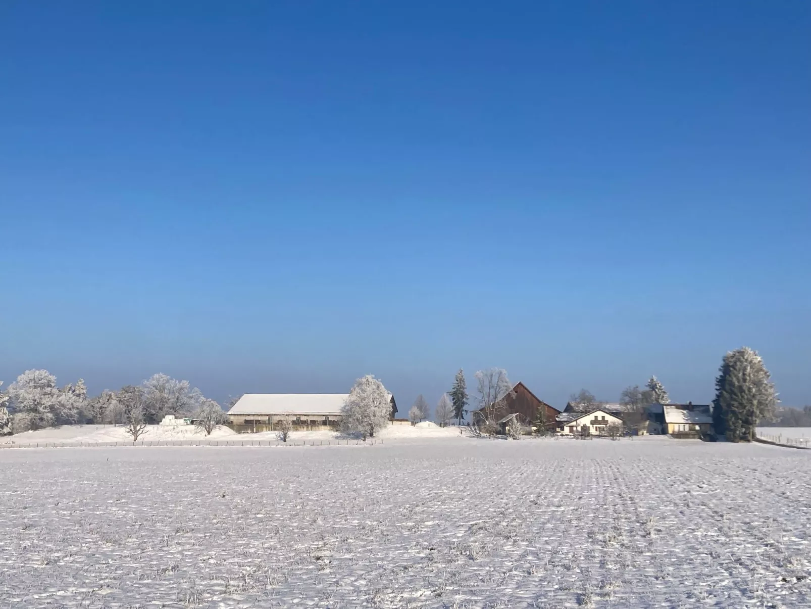 Wohnung "Bellevue"-Image-tags.info