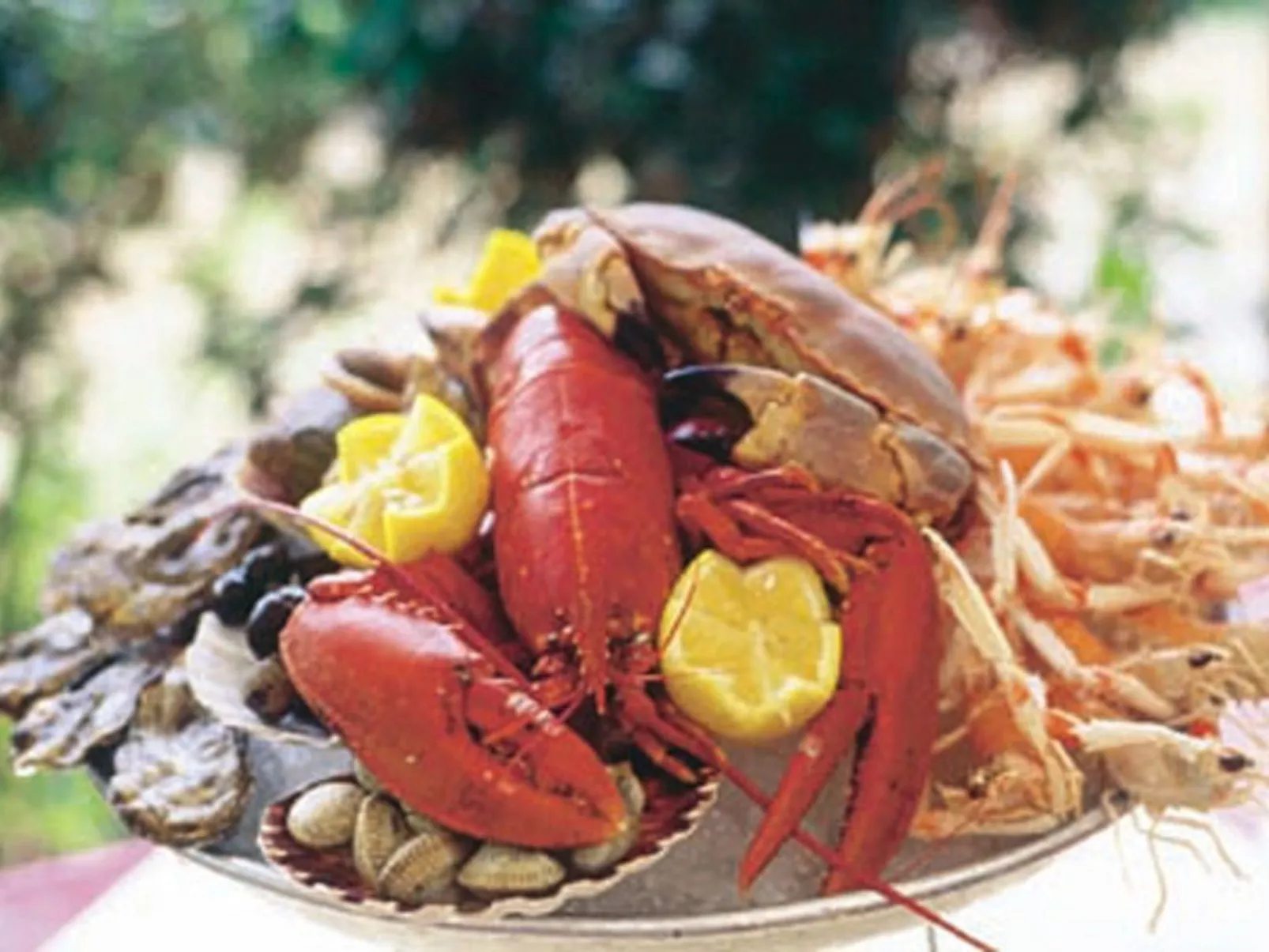 APPARTEMENT GRAND BALCON FACE MER WIFI GRATUIT-Image-tags.info