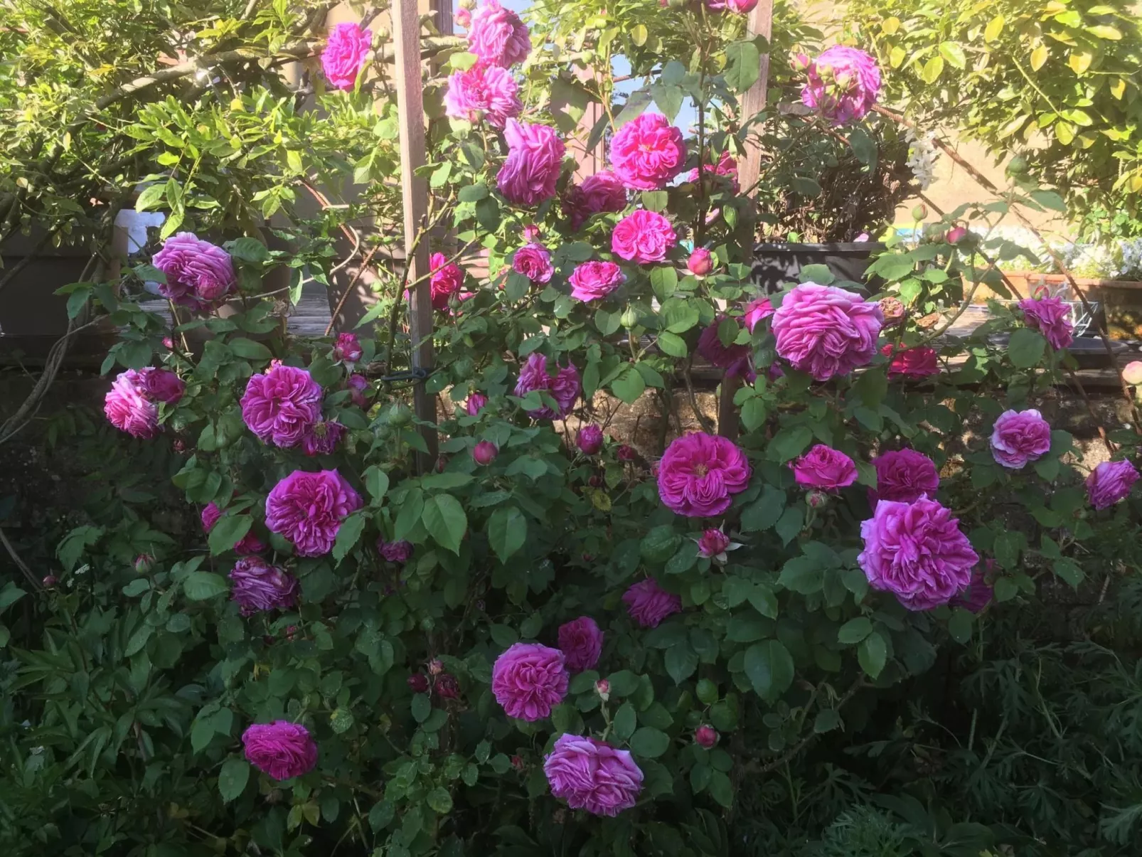 Finca "Motje" mit Aussicht-Buiten