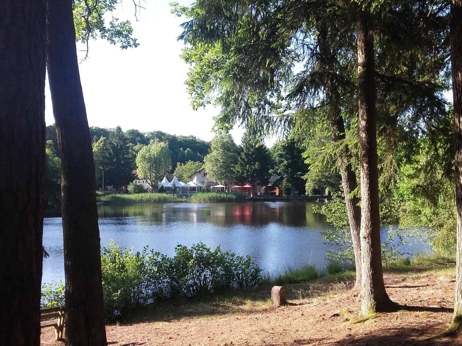 LES BRIMBELLES-Buiten