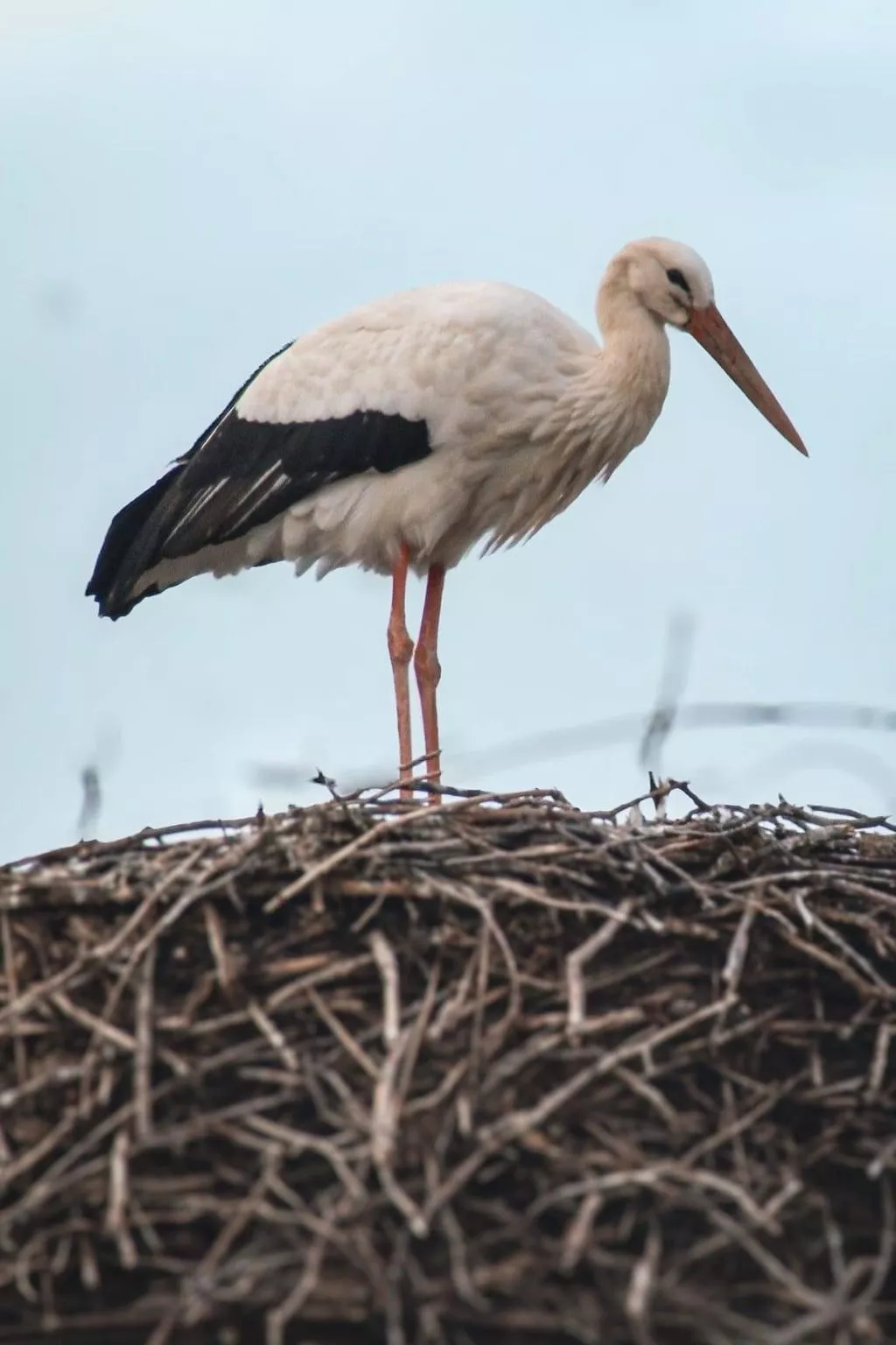 Wohnung mit Privatparkplatz - Buiten