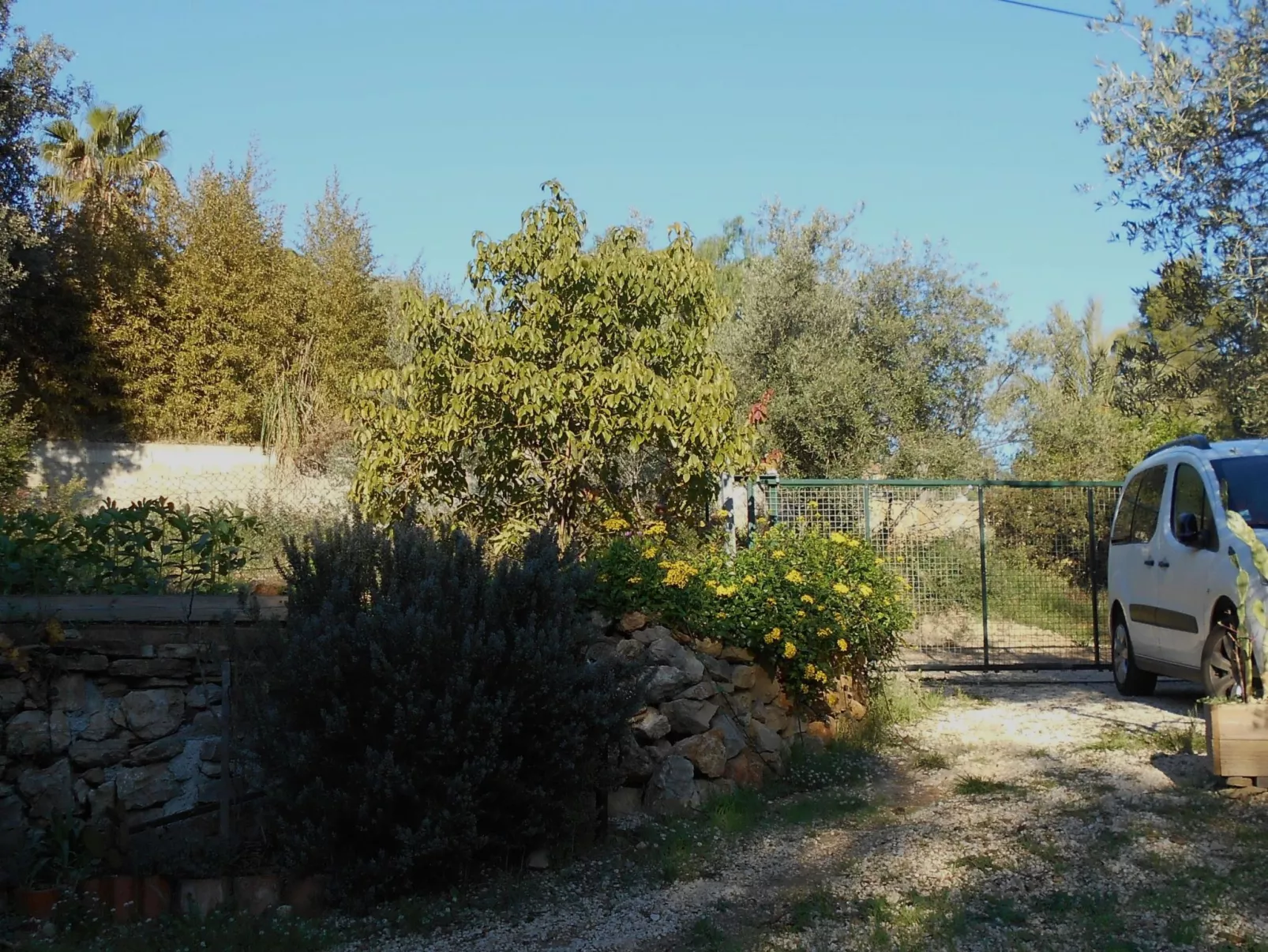 Mit Terrasse, mitten in der Natur-Buiten