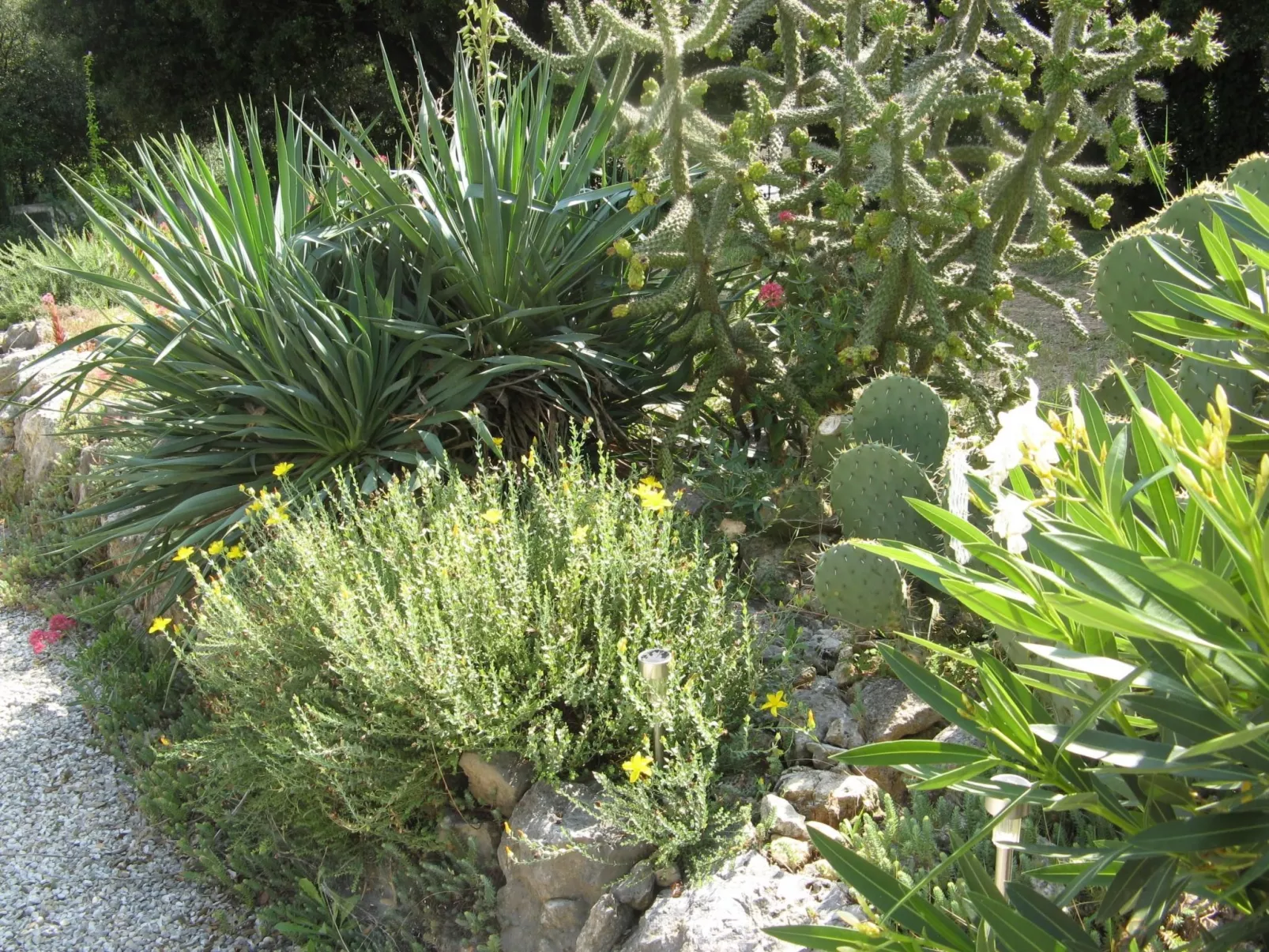 À l'abri du Mistral-Buiten