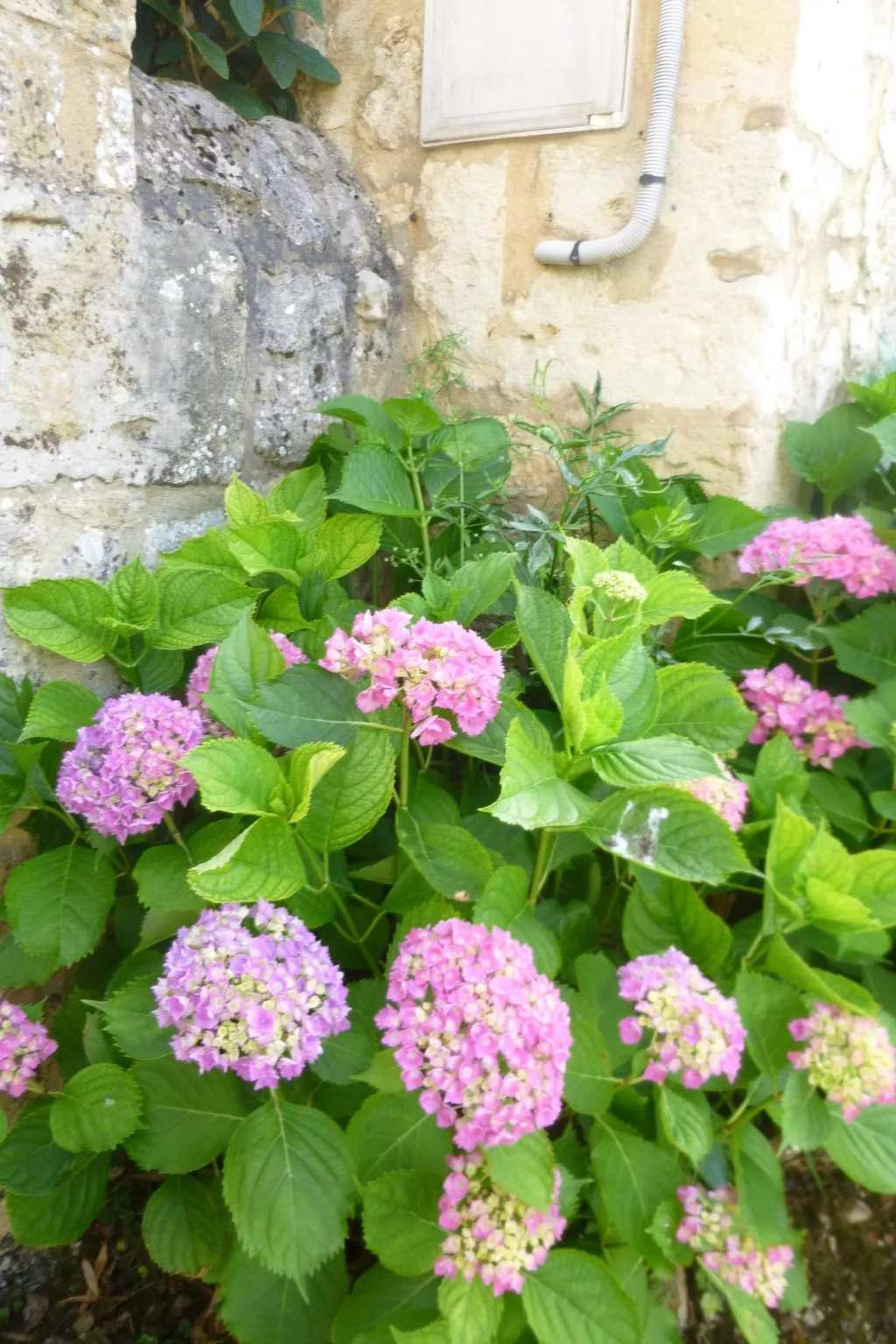 Fachwerkhaus "gitealienor perigord"-Buiten