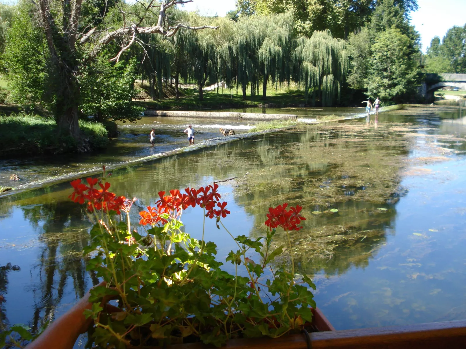 Swimmingpool, Garten, Aussicht, Stille, Kinder, Spielzeug-Buiten