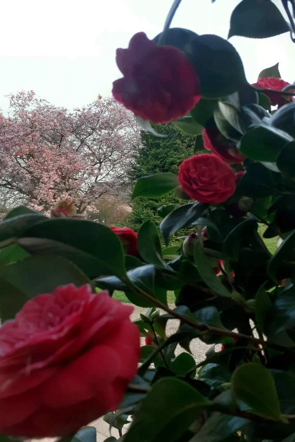 Neues normannisches Ferienhaus mit Charme die Kastanienbäume-Image-tags.info