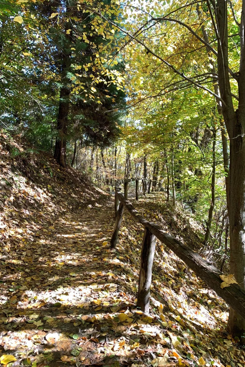 Casa Reduit Terrazza-Buiten