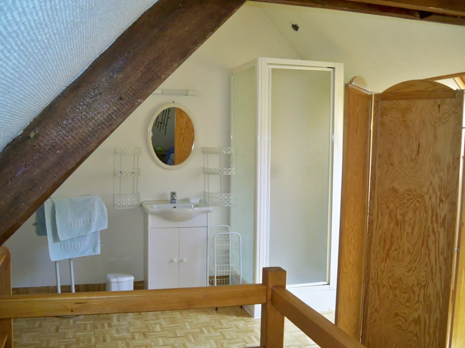 "L'Eucalyptus-Image-tags.info