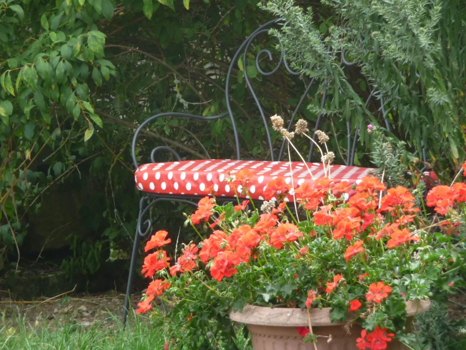 Domaine "Chez Marianne" mit Privatparkplatz-Buiten