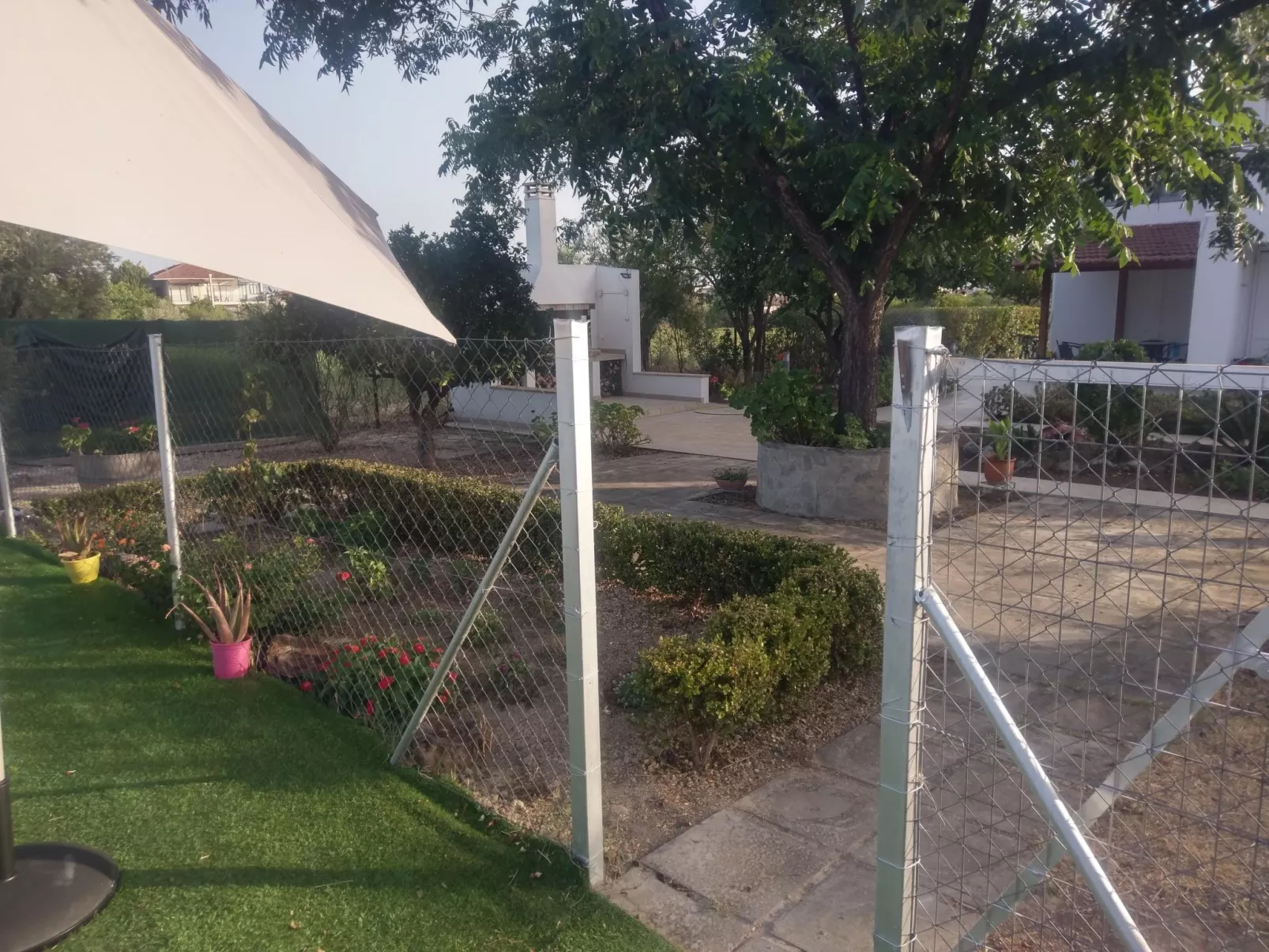 Neben Orangenbaum-Obstgarten-Buiten