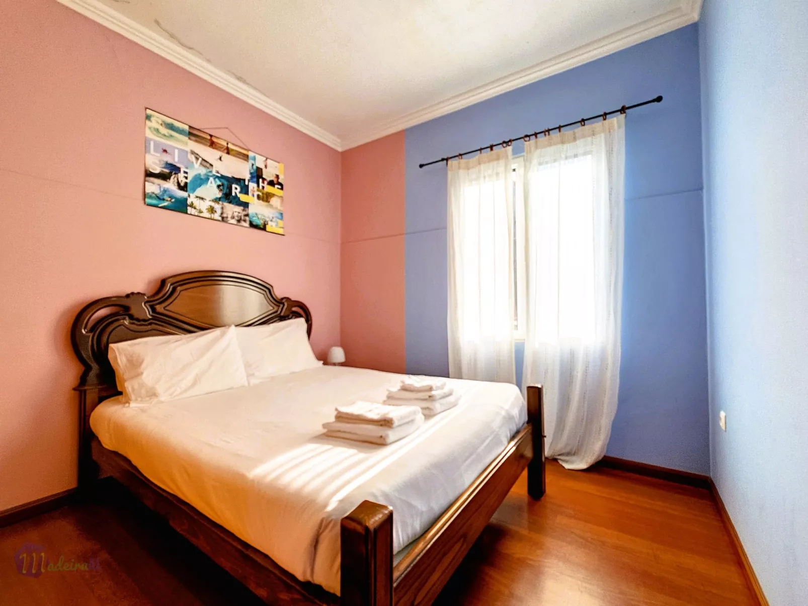 Domus Dino-Image-tags.info