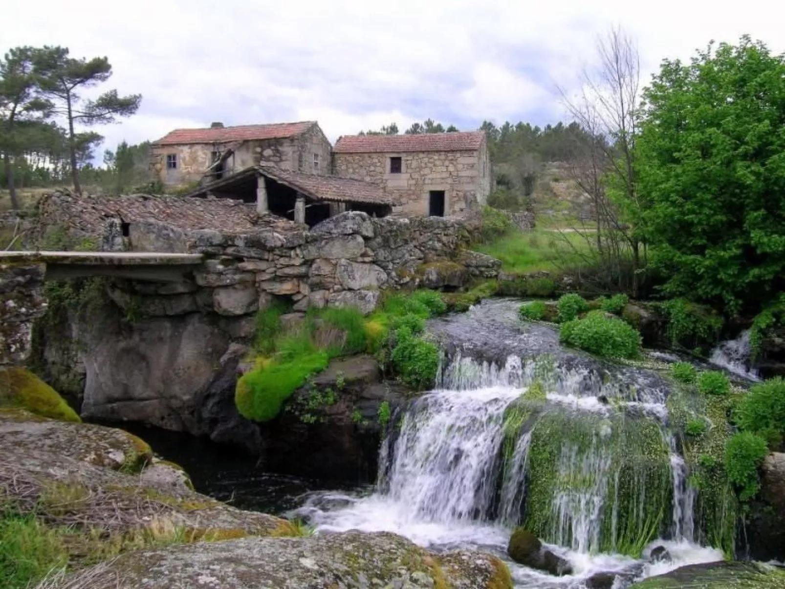 Ferien auf dem Bauernhof mit Weinberg-Buiten