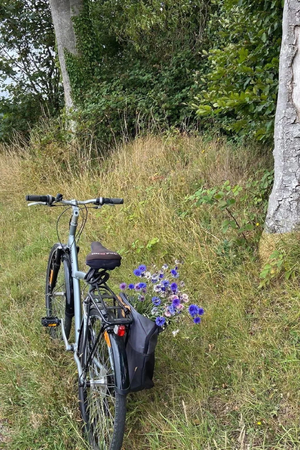 Charmante normannische Ferienwohnung les chataigniers 3 Zimmer-Buiten