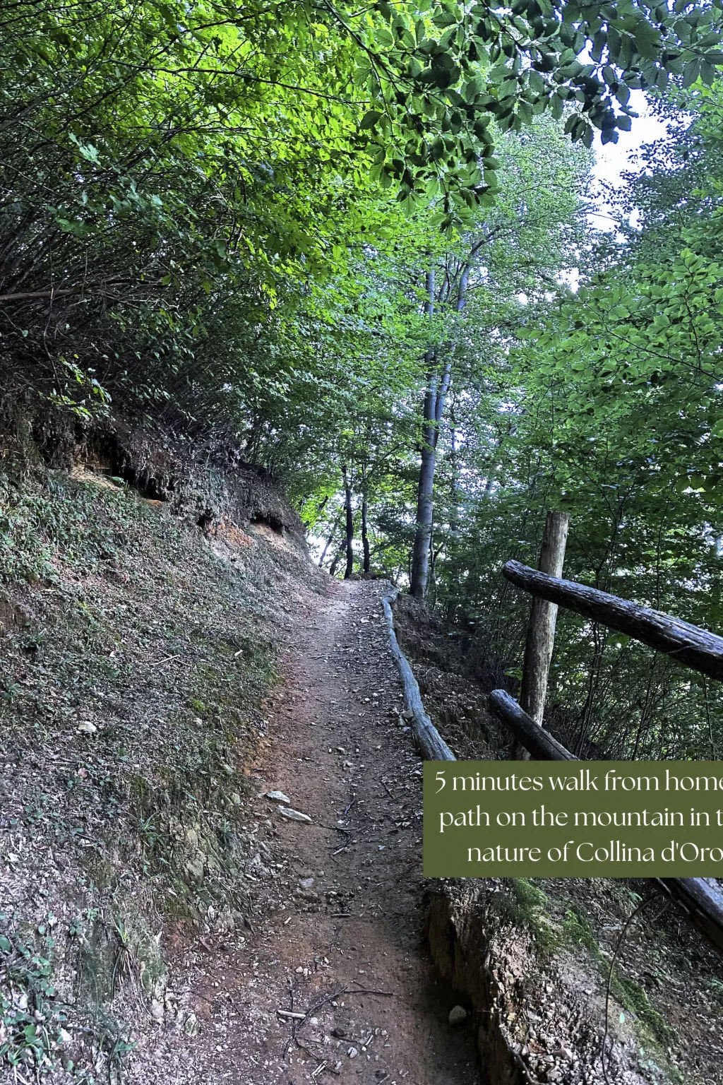 Appartamento vacanze "Luxus-Wohnung"-Buiten