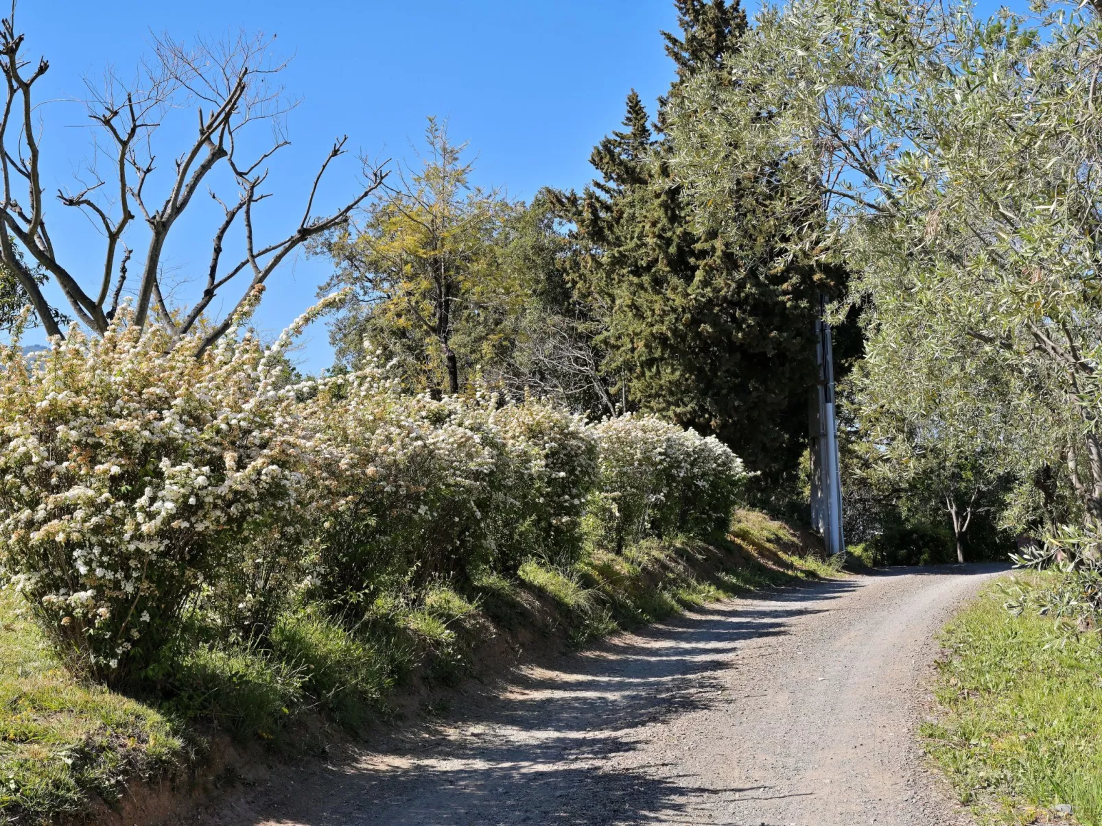 Weingut Punta della guardia zwischen Meer und Gebirge-Buiten