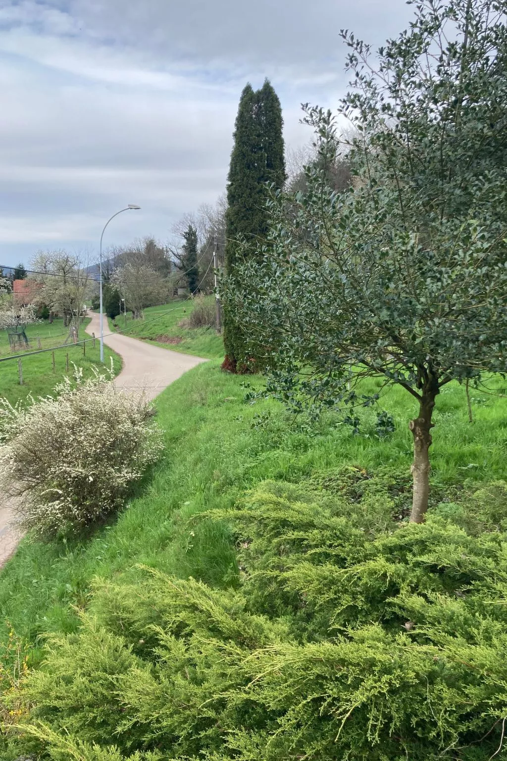 Peaceful Escape-Buiten