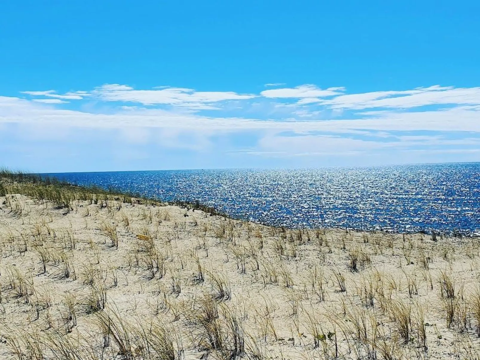 Villa Cocoon Contis-plage 1 chambre-Buiten