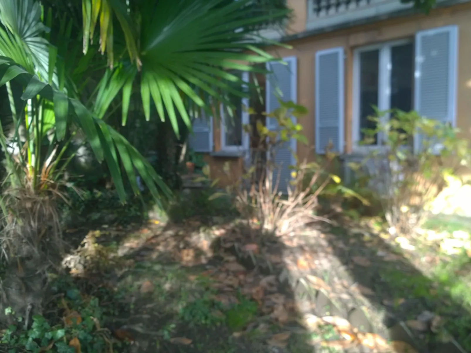 Lago 2 Executive Stadtzentrum-Image-tags.info