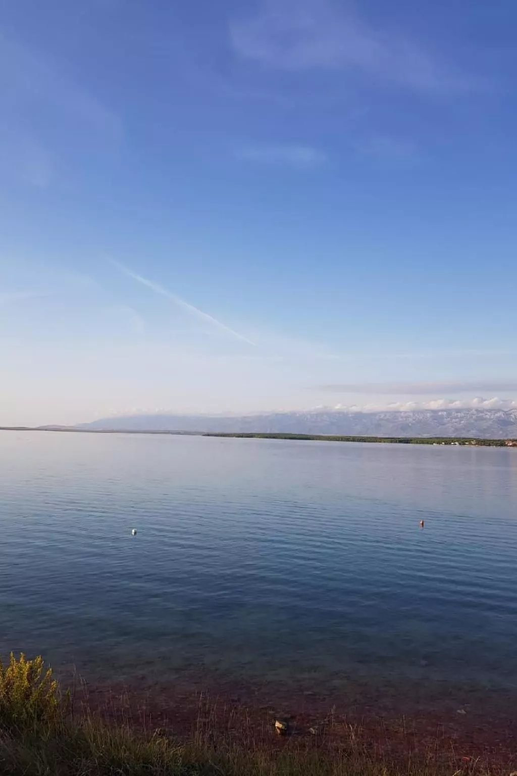 Apartment Leonardo-Image-tags.info