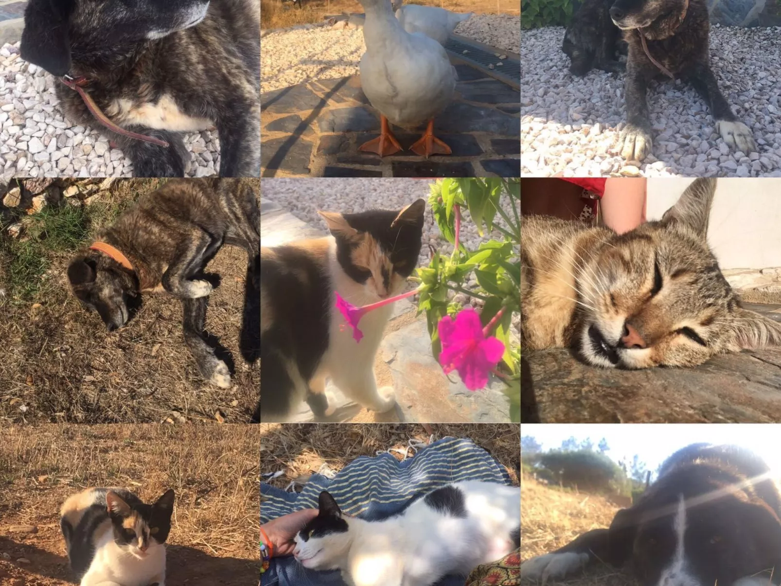 "The Recycle Art" mit Terrasse-Buiten