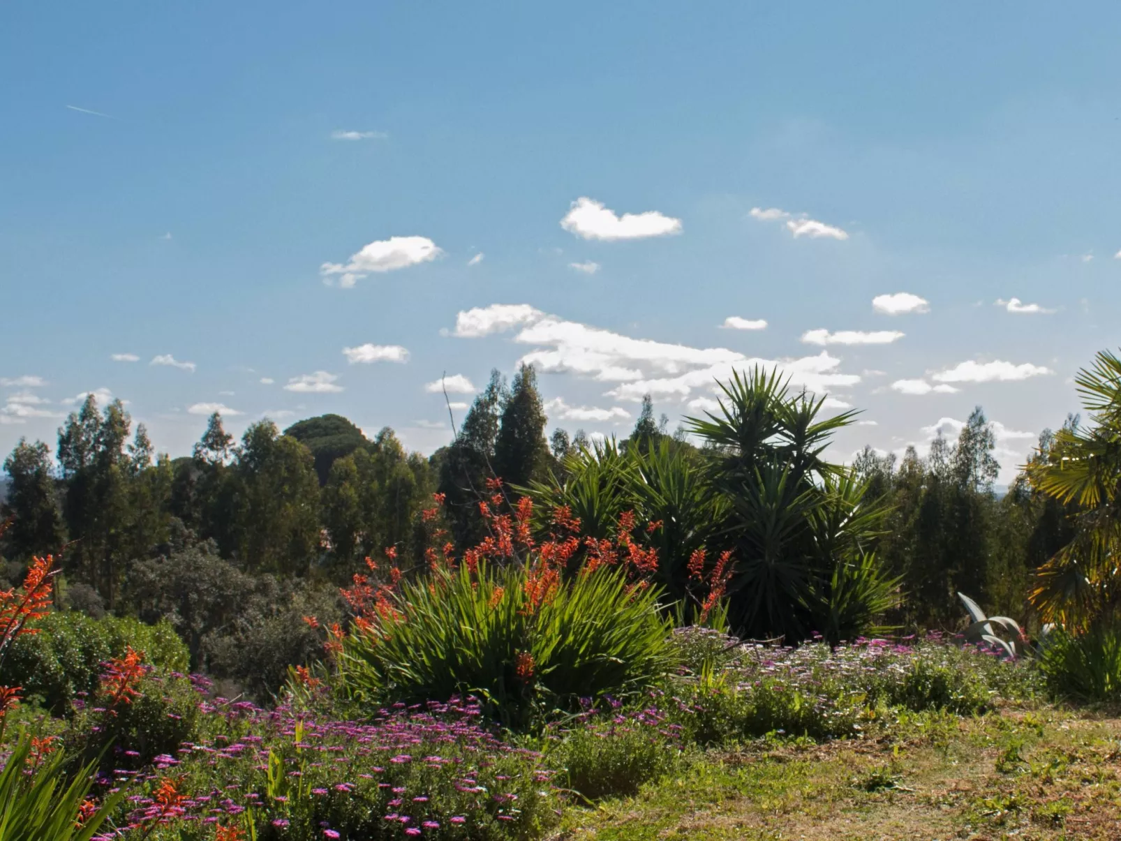 Monte Horizonte Casa Passaro Öko und Natur-Buiten