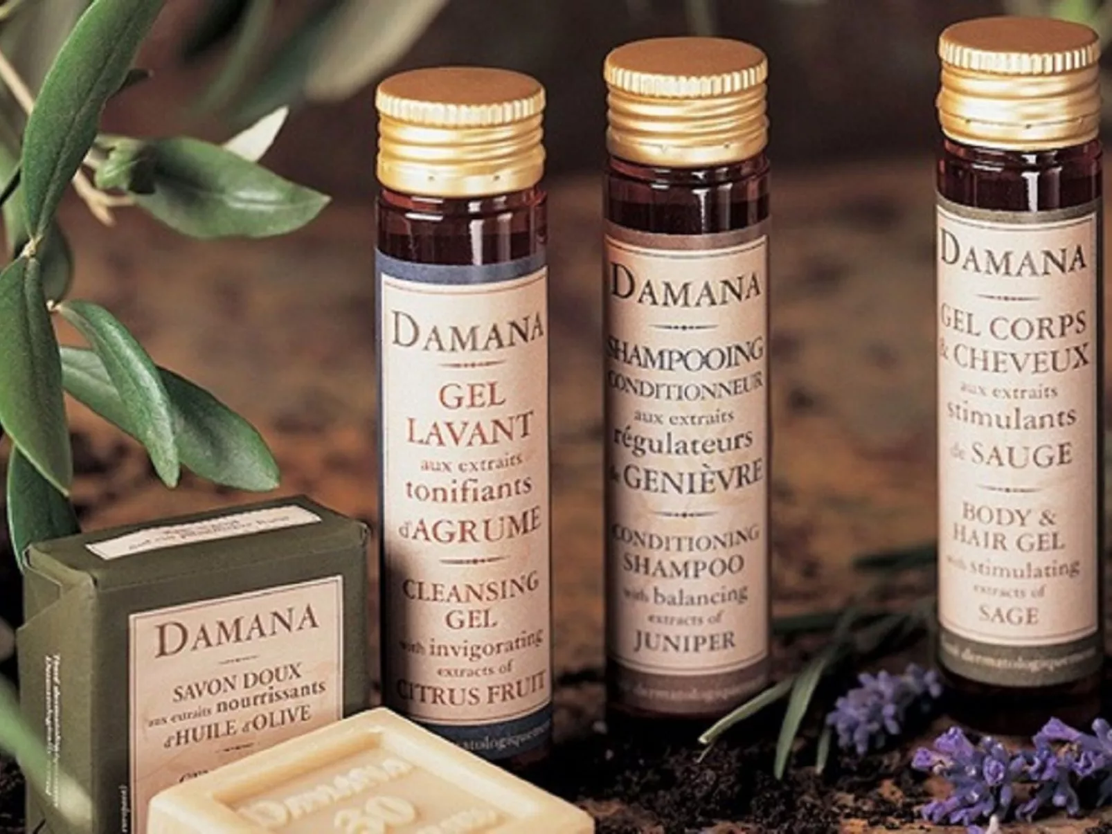 Cottage du Château duplex 90m2 mit Pool Azay le rideau-Image-tags.info