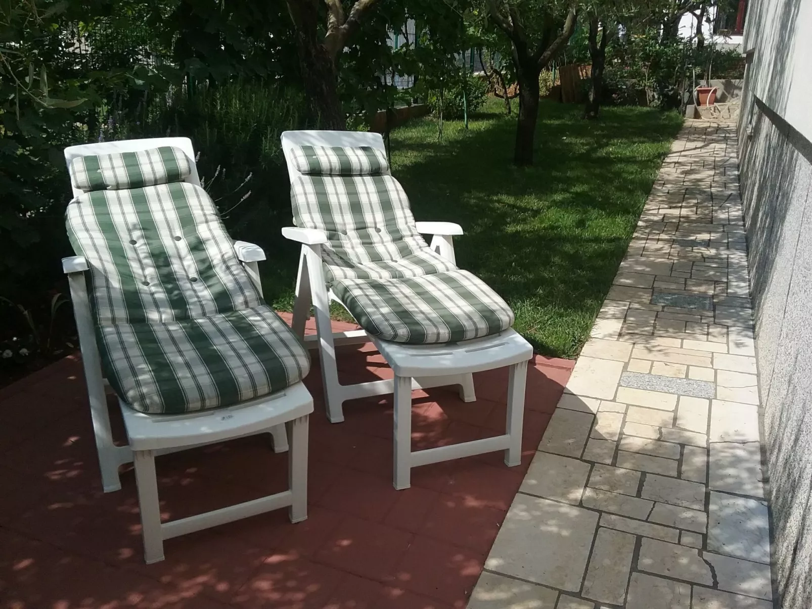 Studio Oliva ****-Image-tags.info