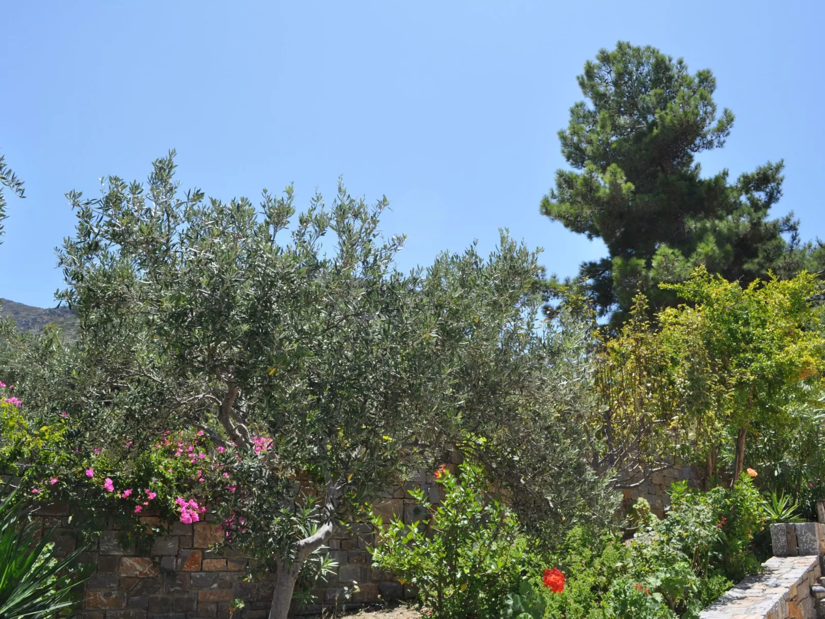 Nefeli Blue Villa in altem Olivenhain, Meerblick-Buiten