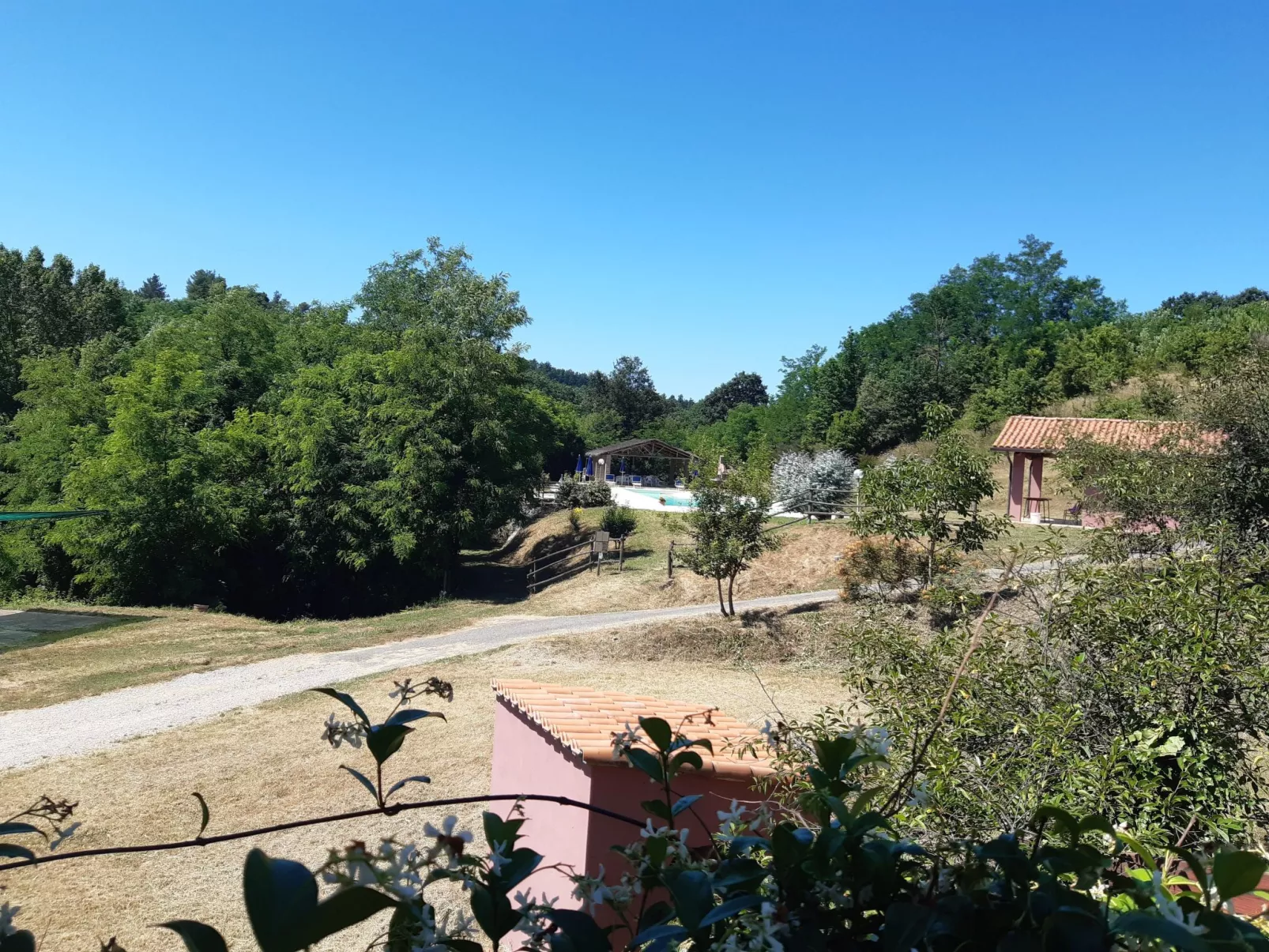 Girasole Haus mit Pool in Fauglia-Buiten