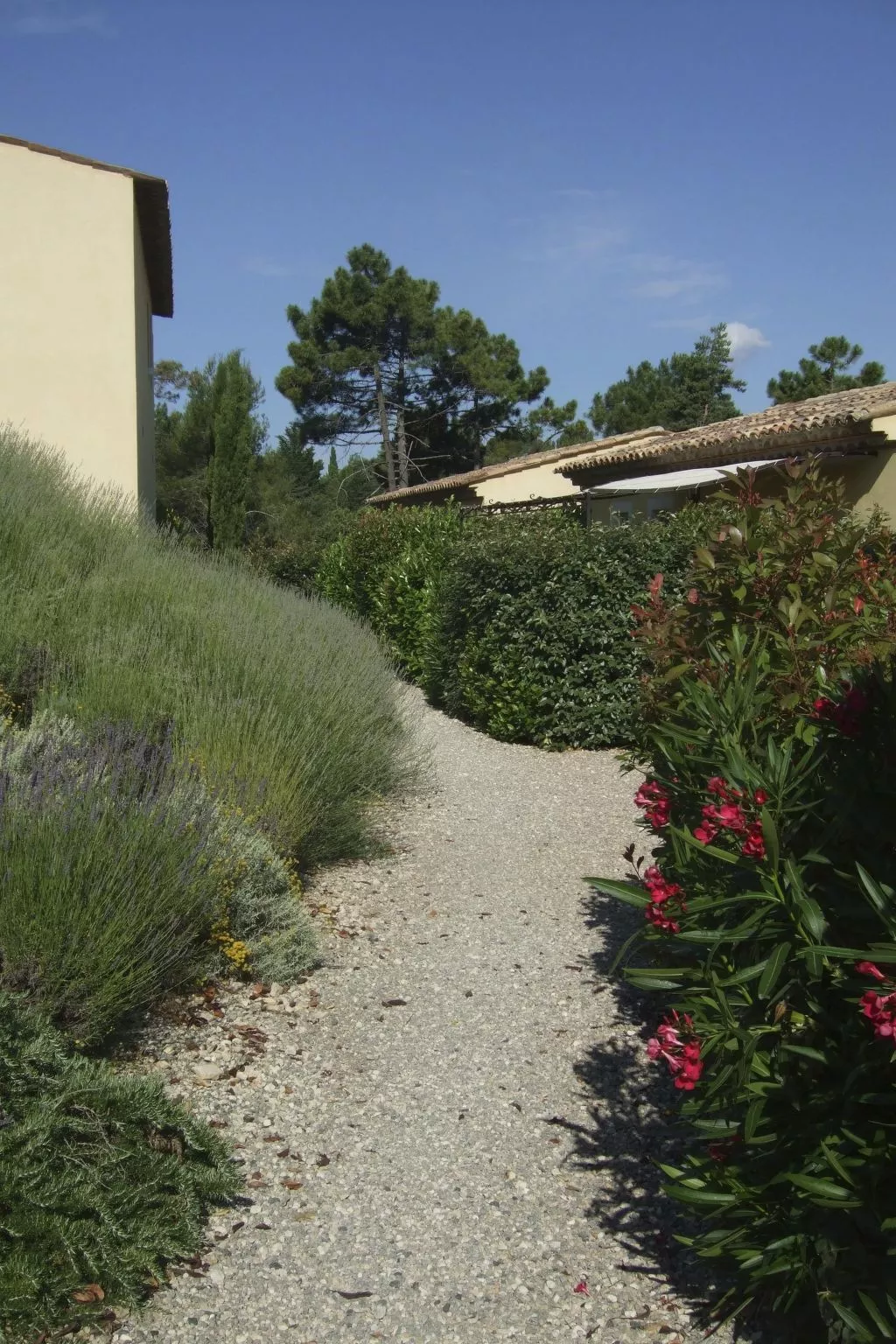 Villa Verdi A Wohnung inmitten der Natur-Image-tags.info